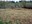 Soos Creek