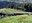 Summerland meadow