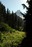 Summerland trail