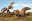 Vantage horses