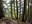 Wagonwheel Lake trail