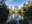 a pond near Enumclaw