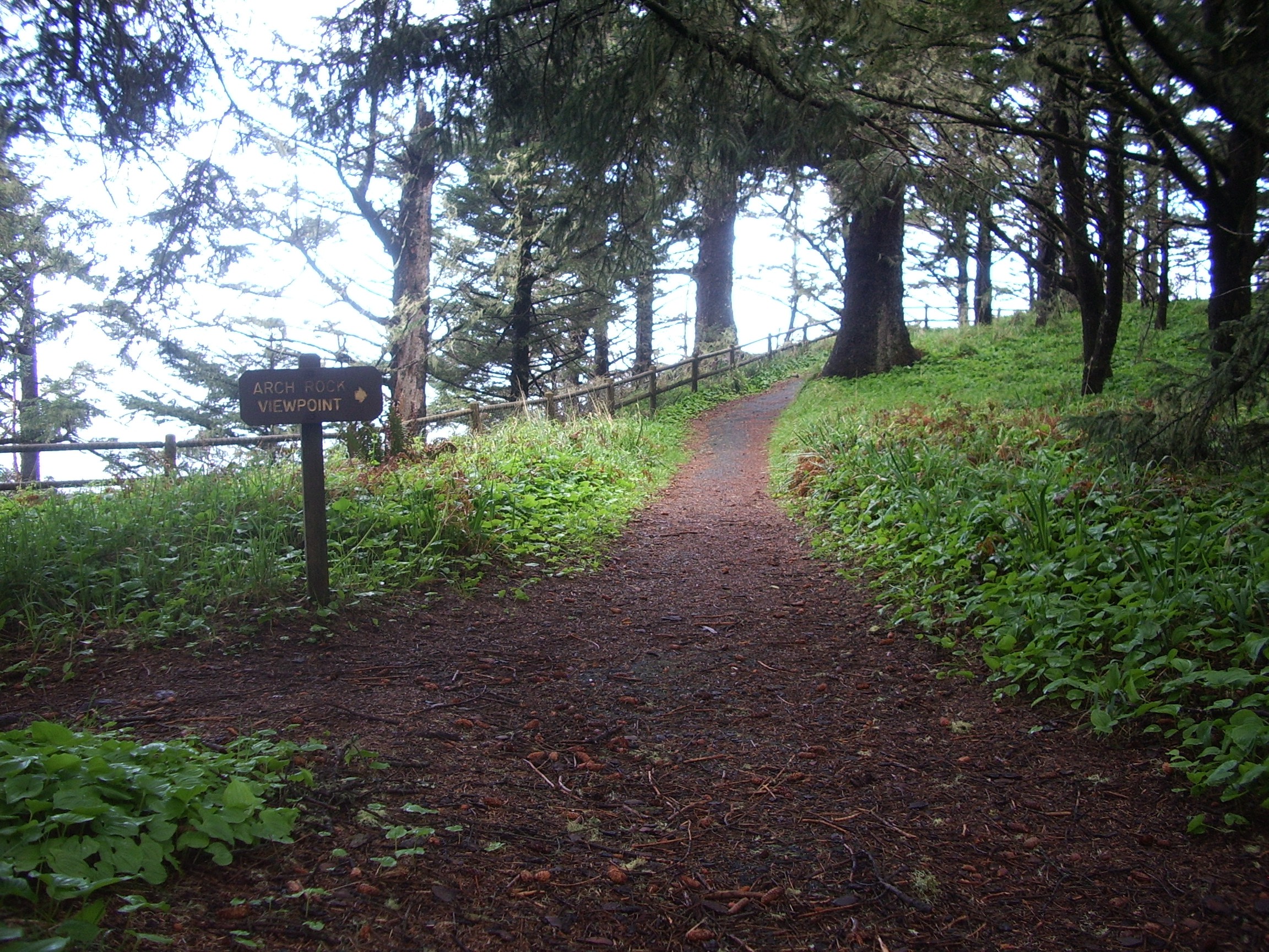 Arch Rock viewpoint