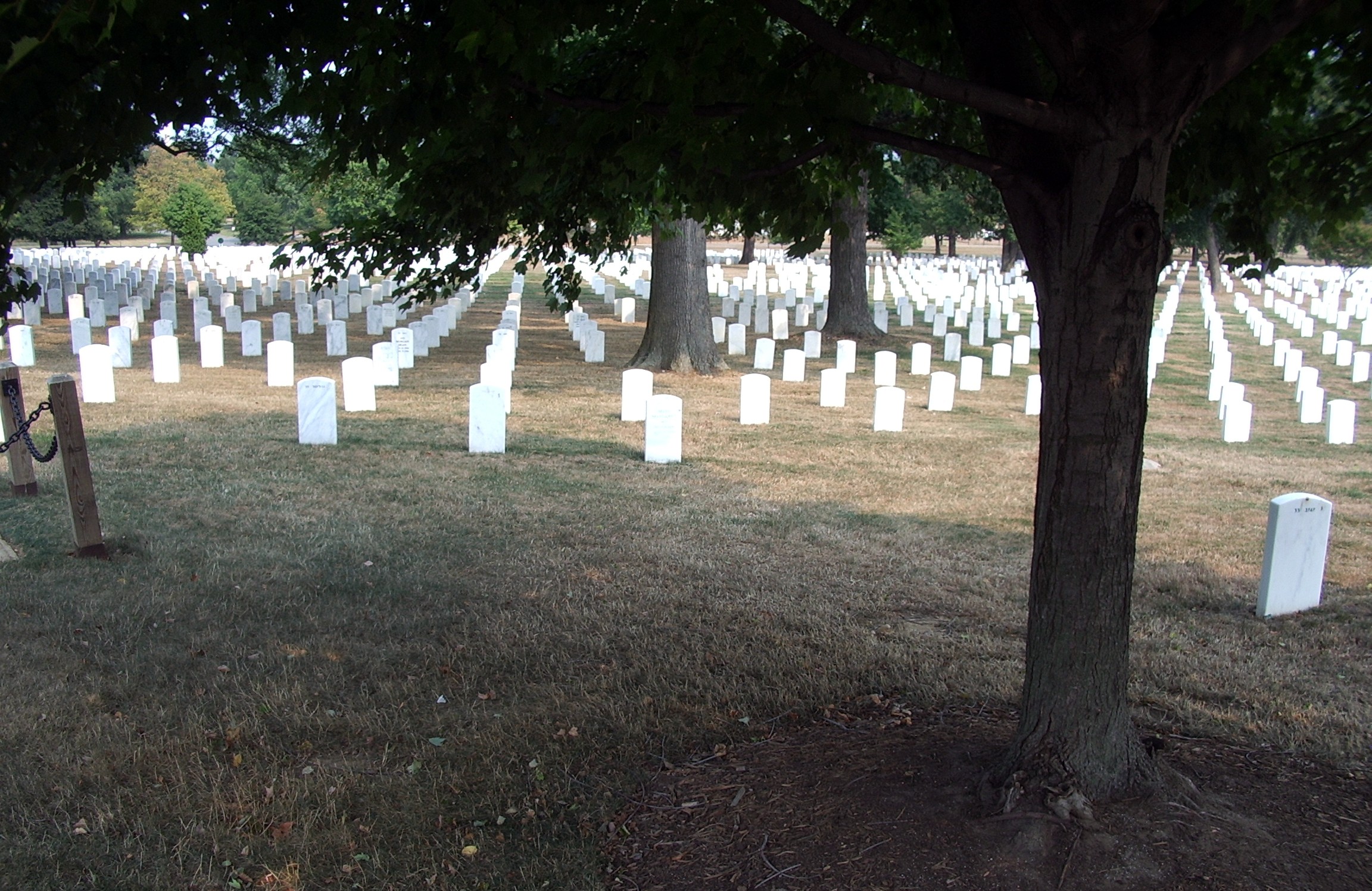 Arlington Cemetery