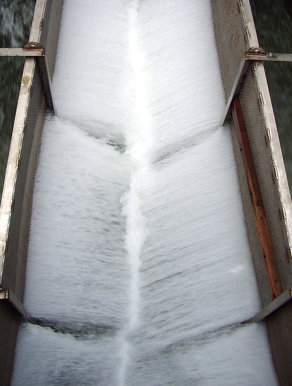 Ballard Locks water