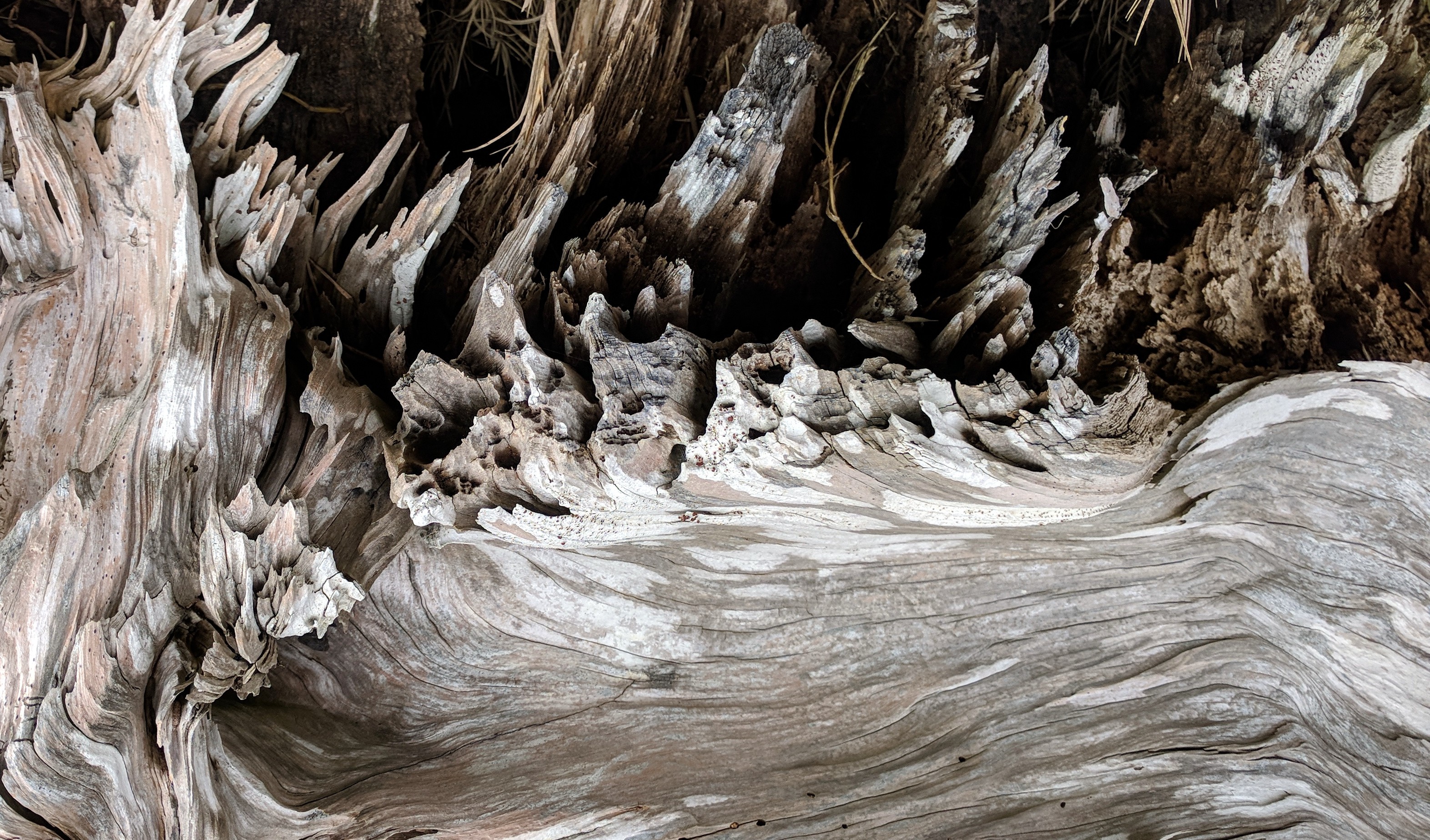 Bar View Jetty wood pattern