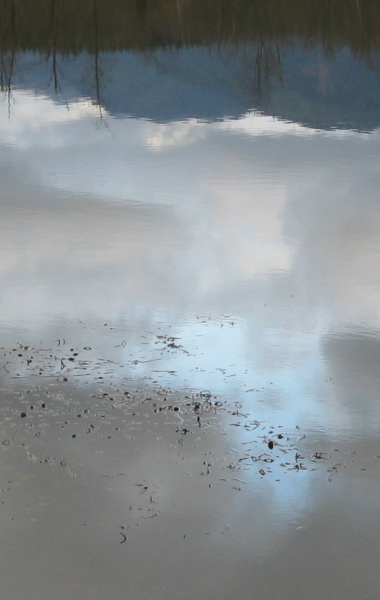 Borst Lake reflection