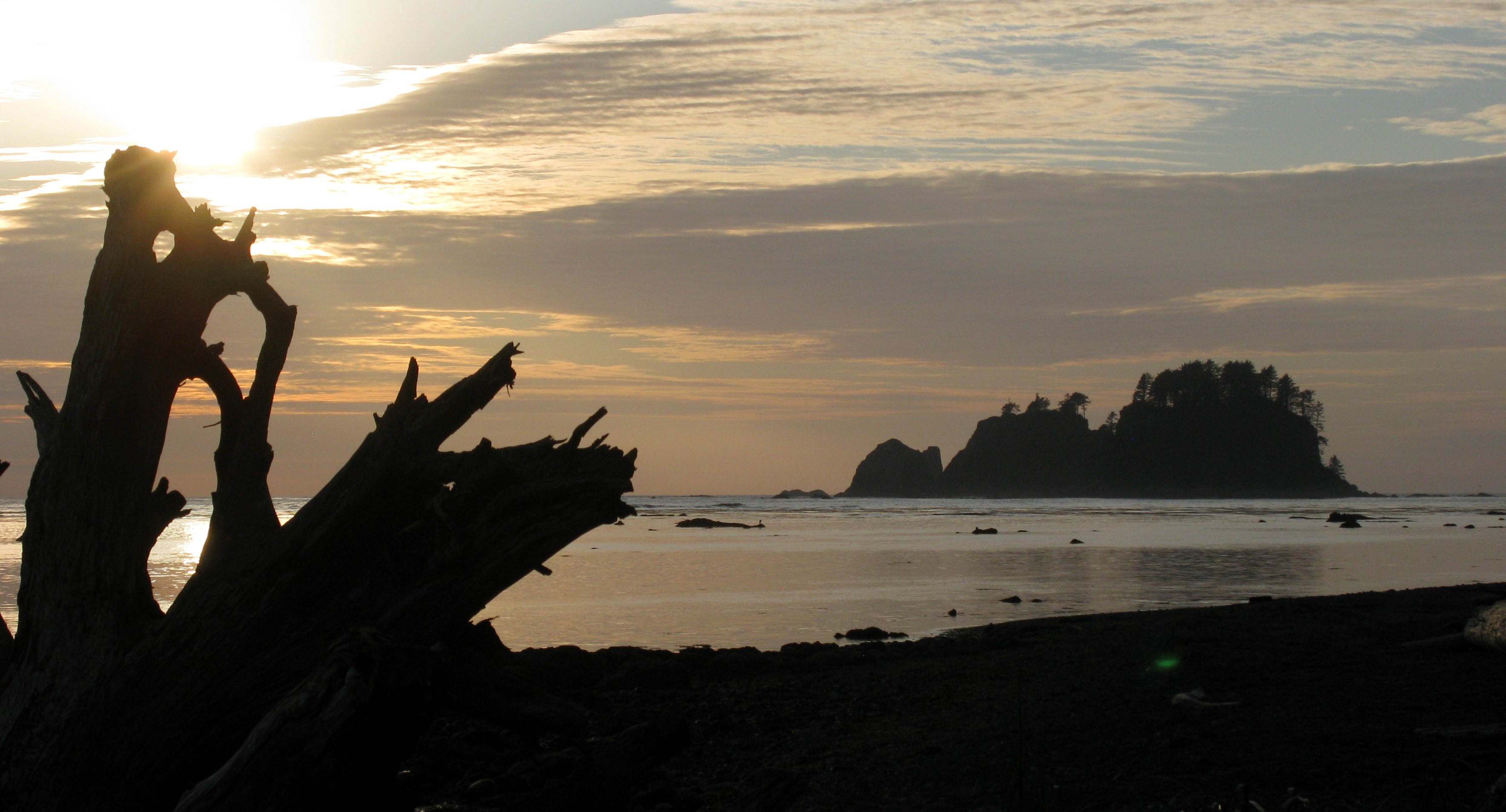 Cape Alava sunset