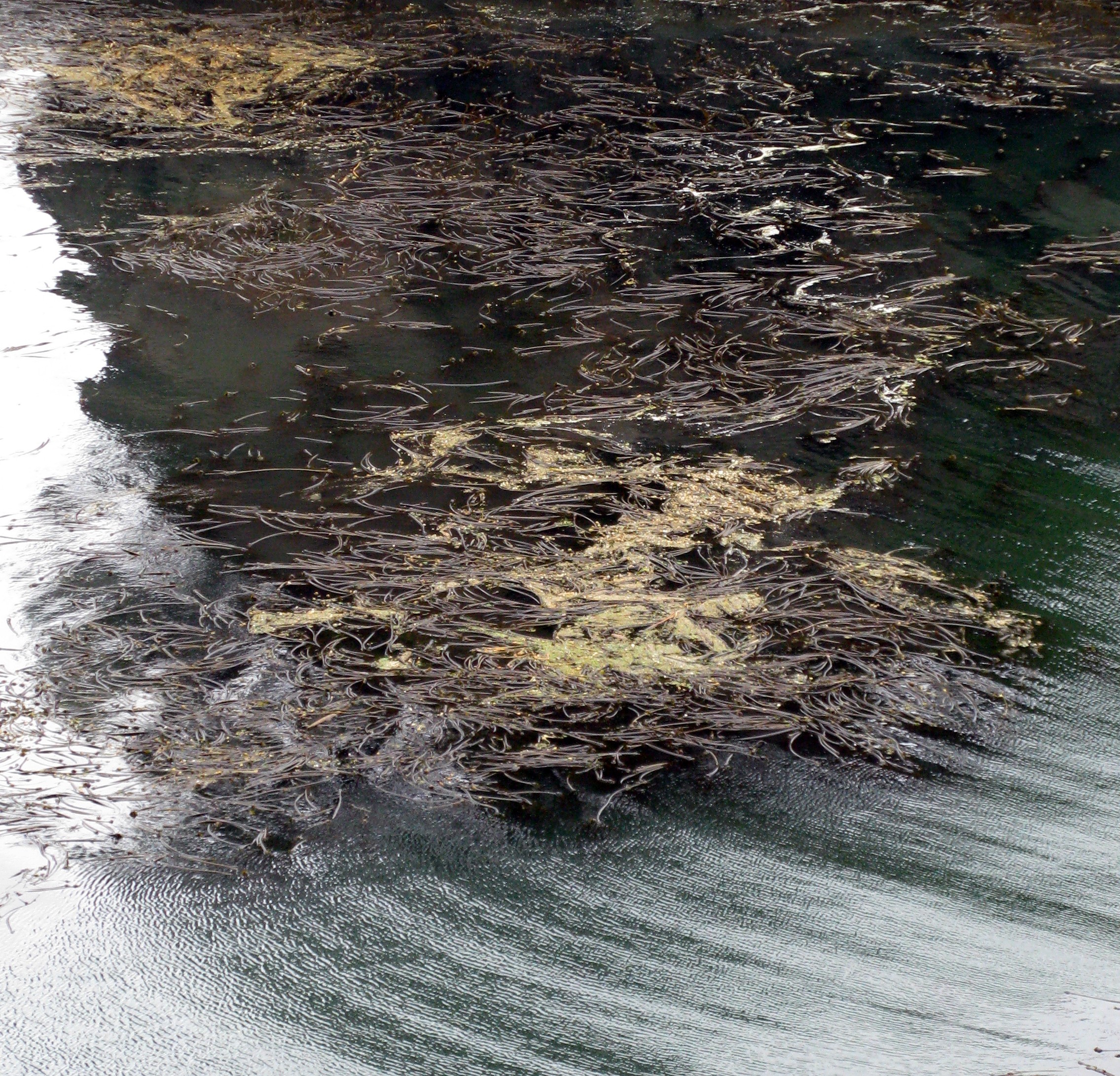 Cape Flattery water