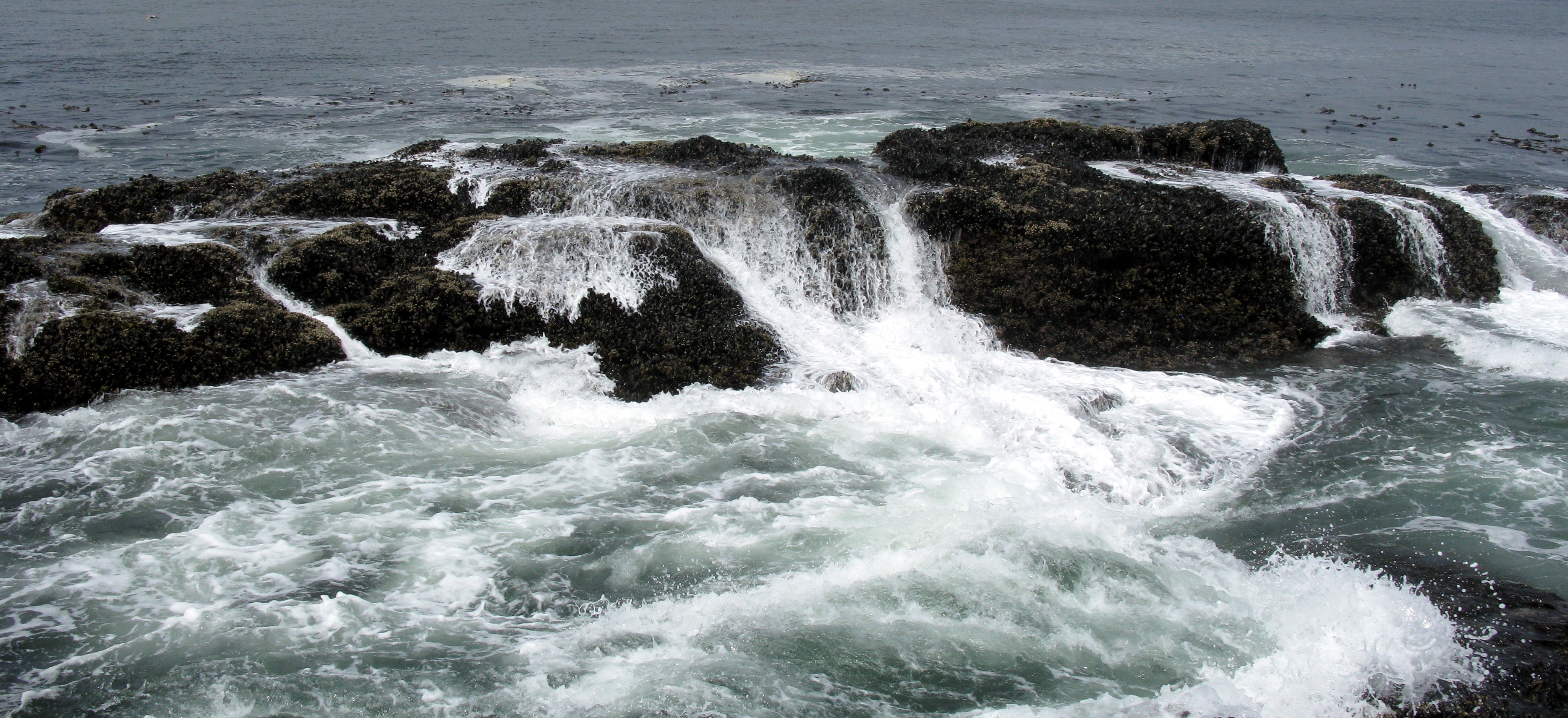 Cape Flattery watered rock