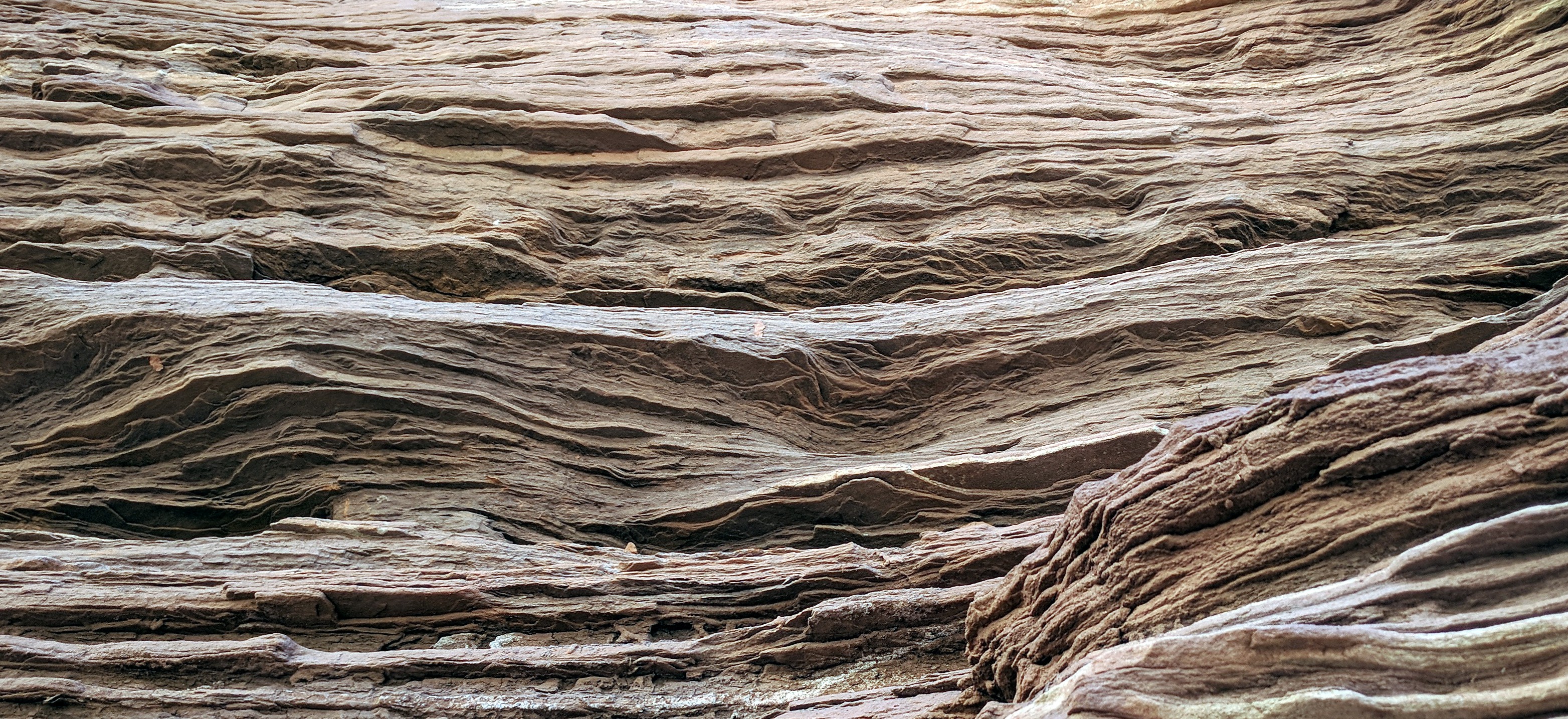 Capitol Gorge wall pattern