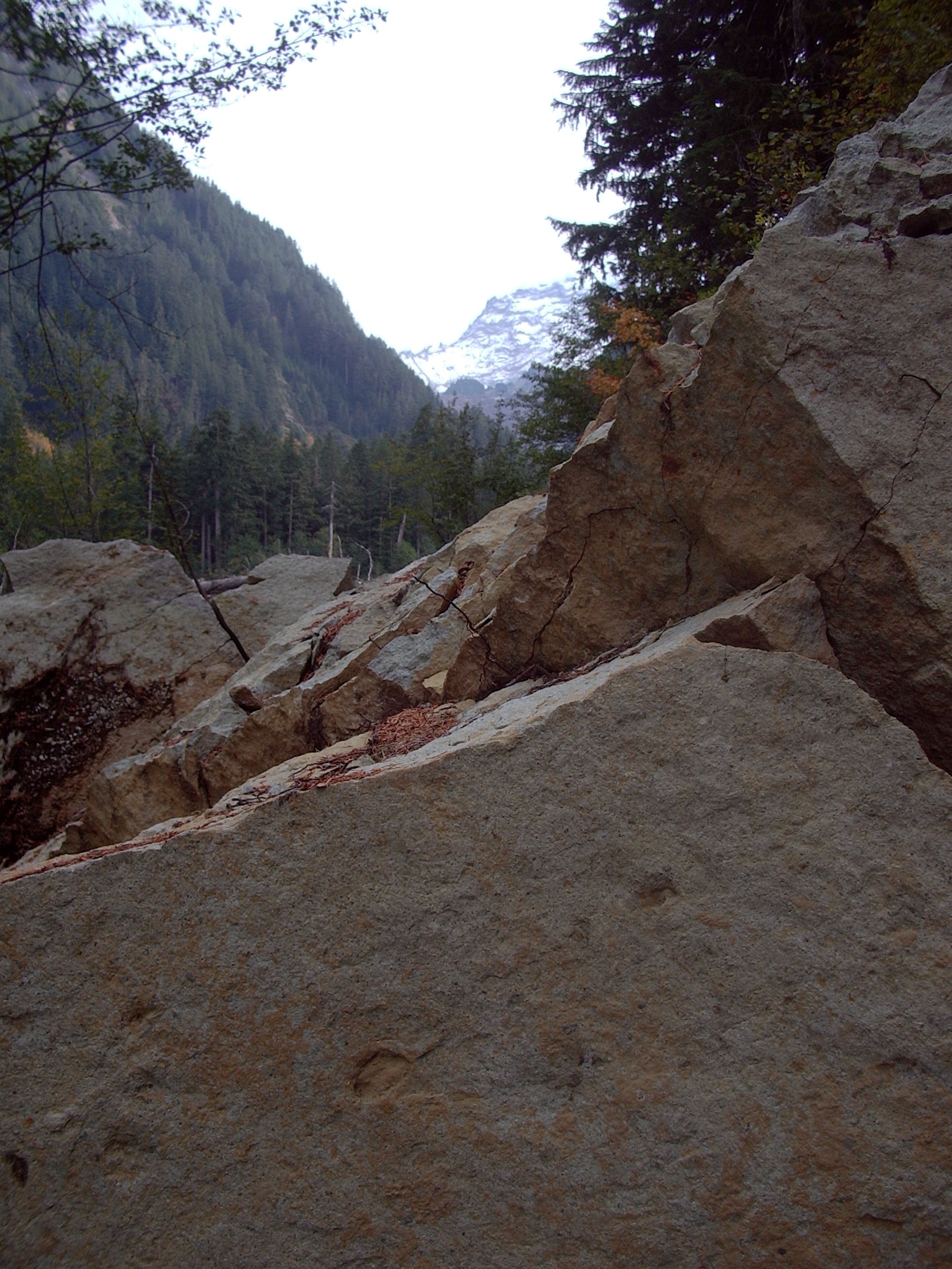 Carbon River Trail