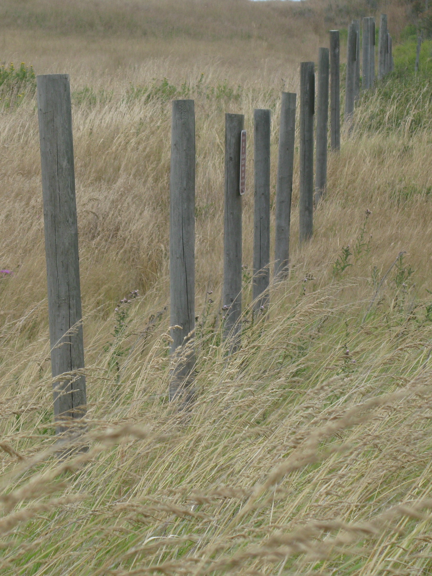 Clallam county park fence