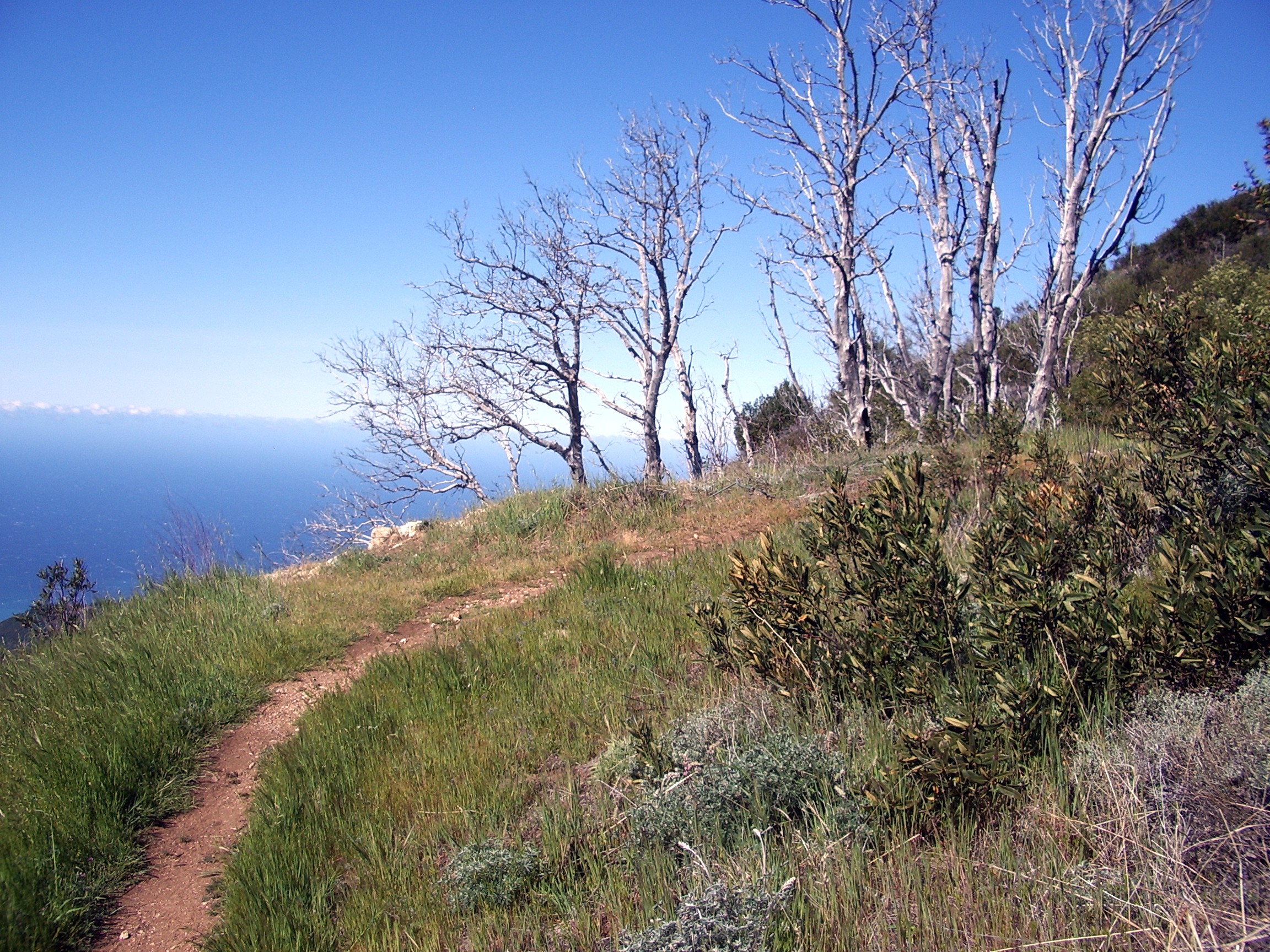 Cone Peak lookout trail