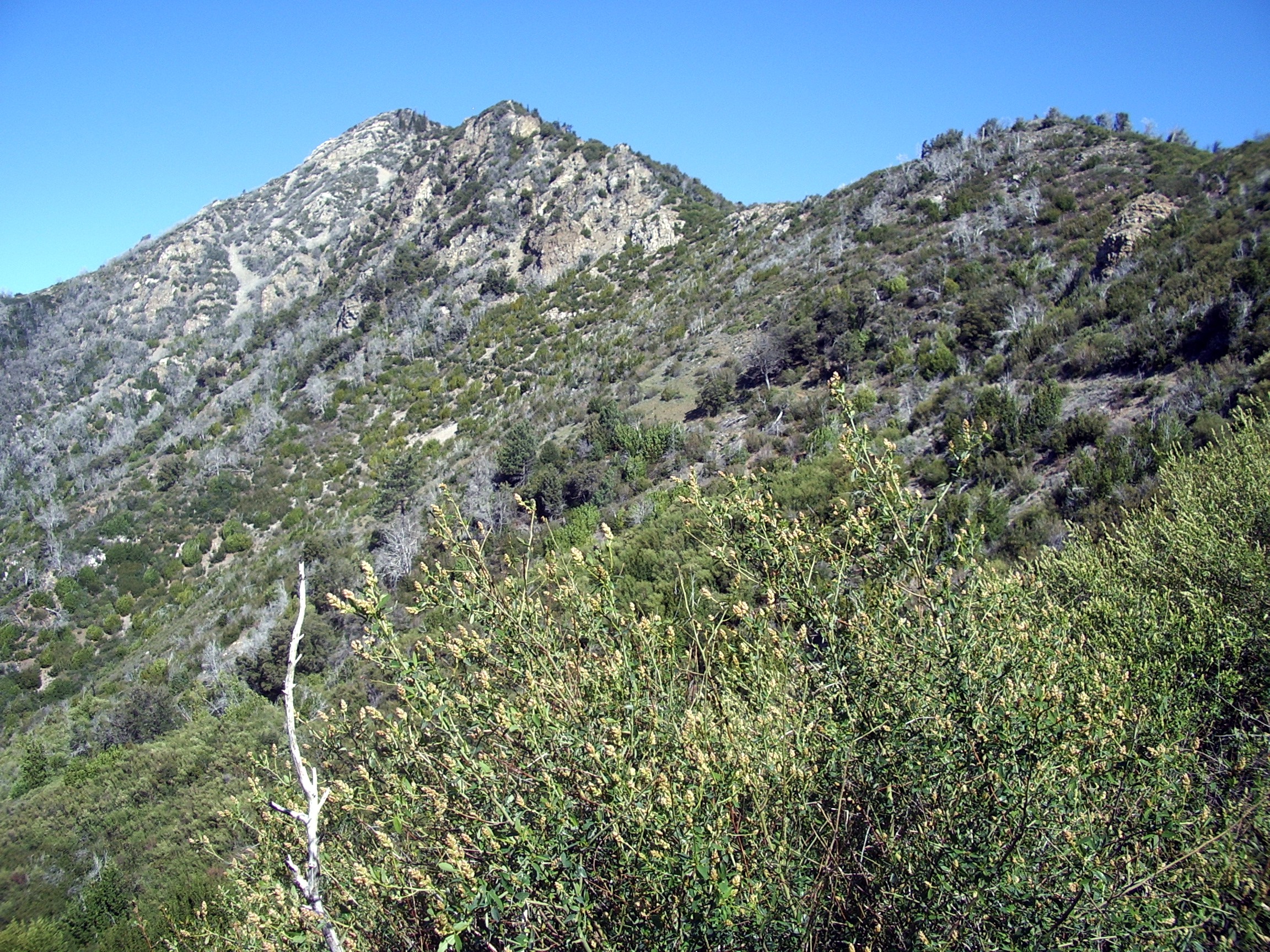 Cone Peak lookout trail