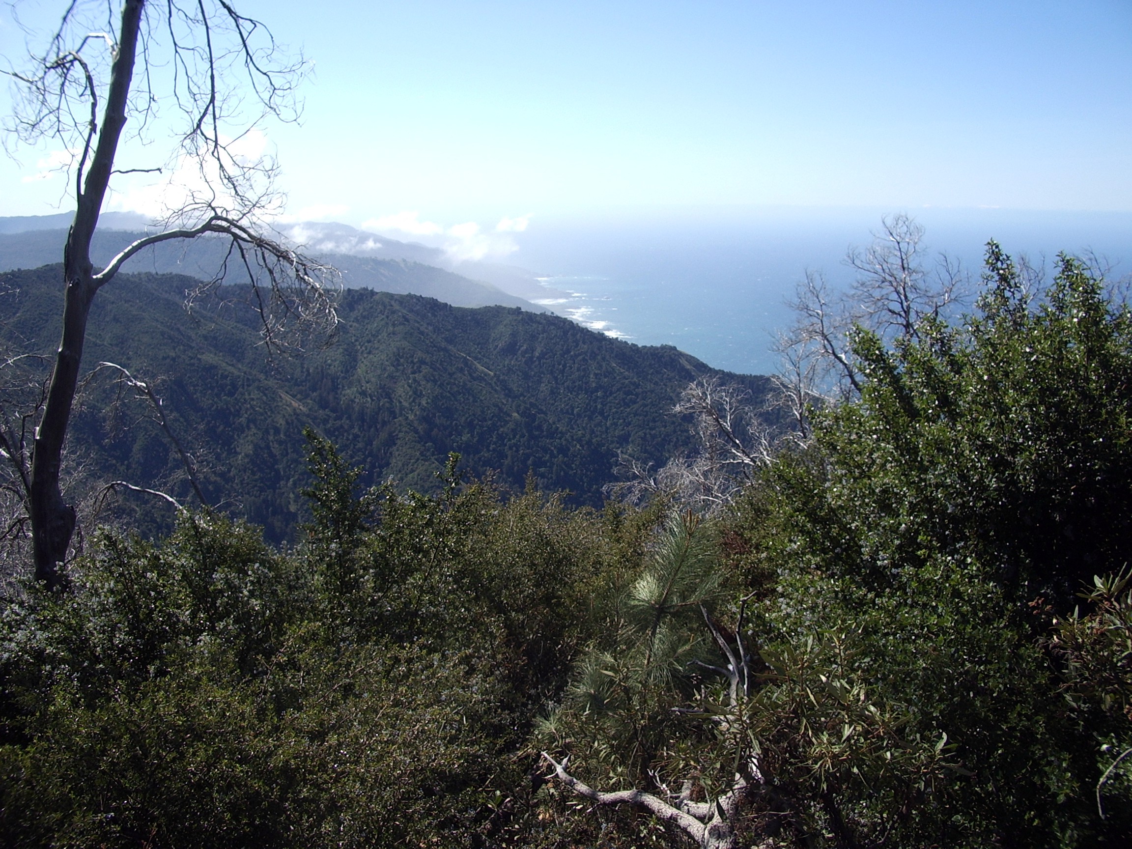 Cone Peak lookout trail