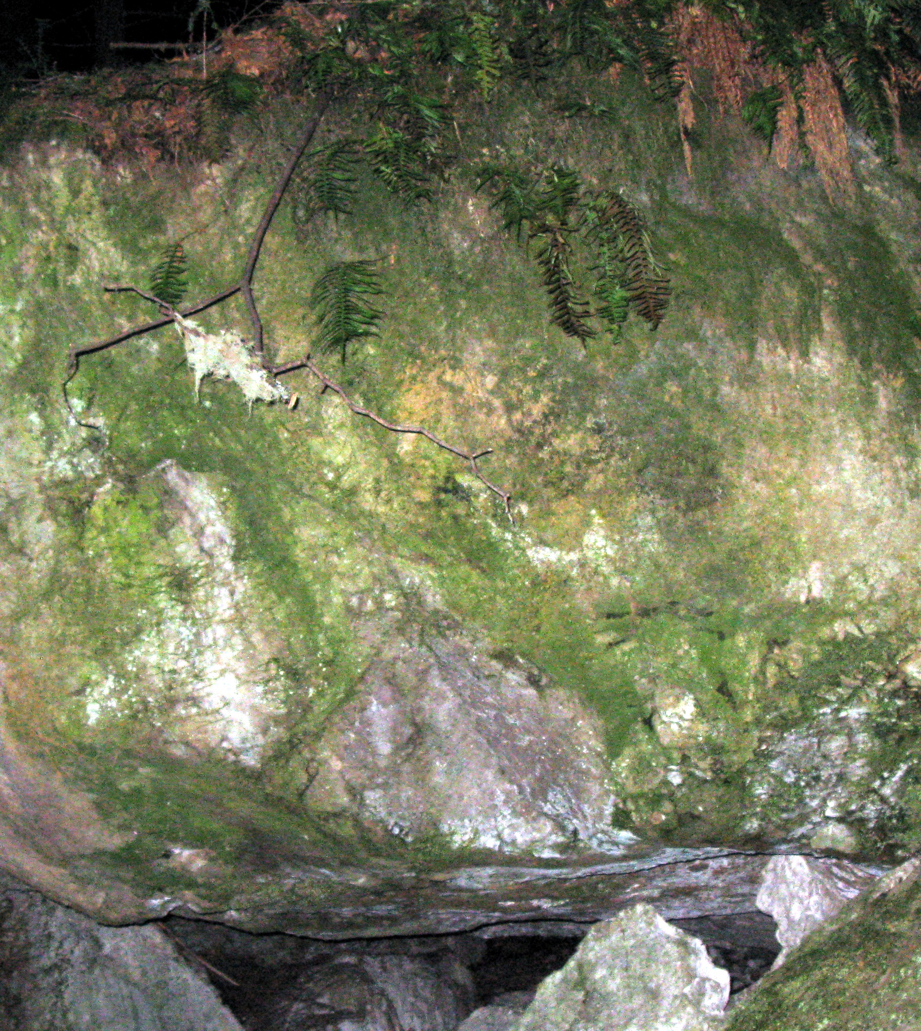 Cougar Mountain rock