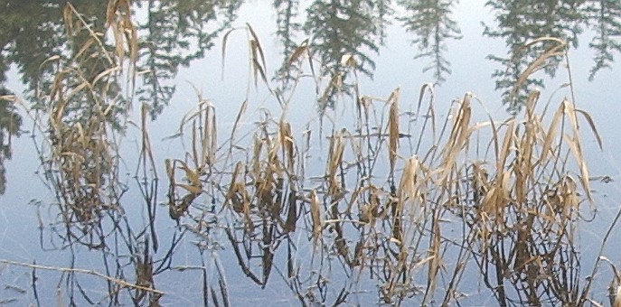 Deep Lake