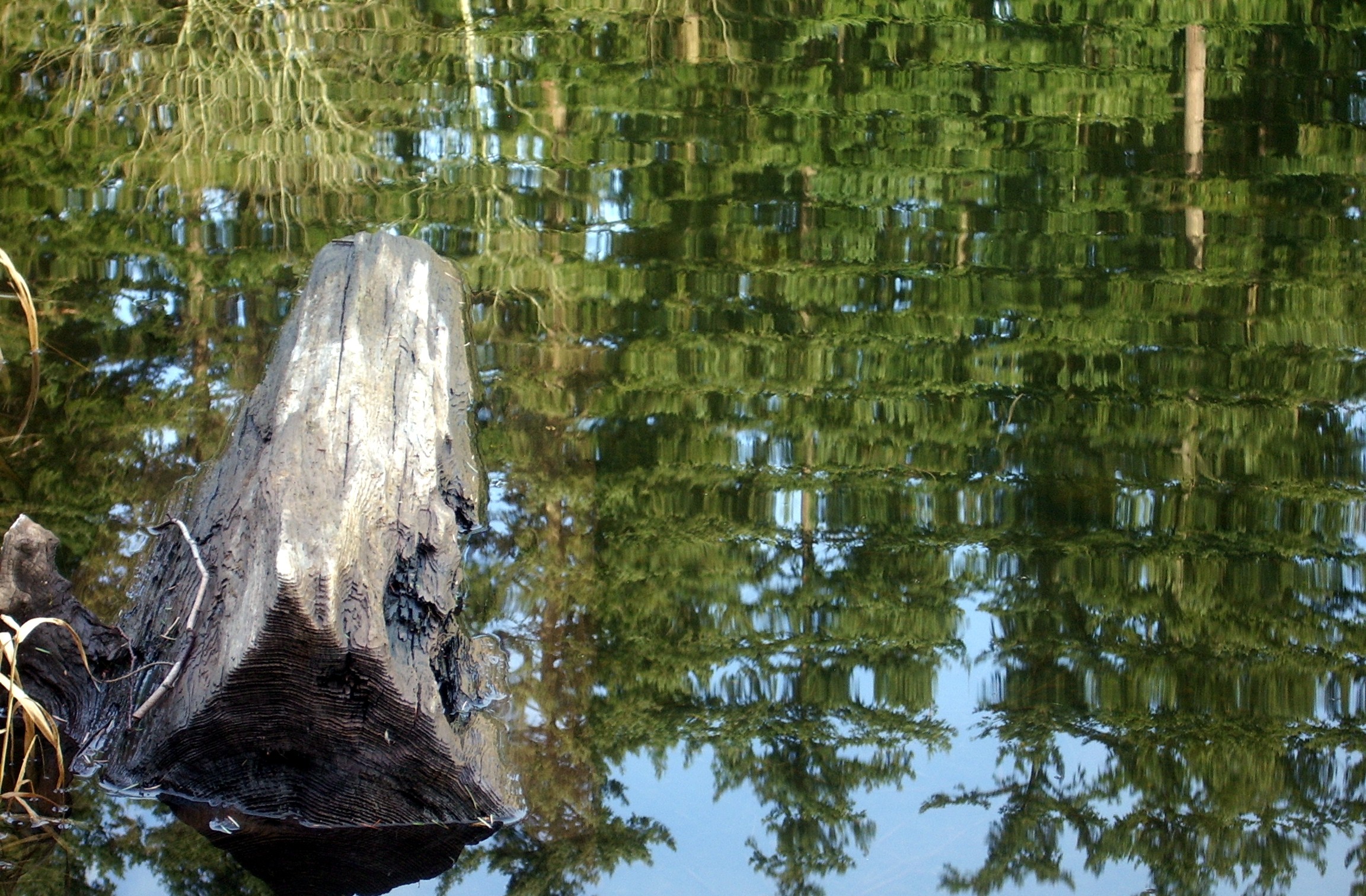 Deep Lake