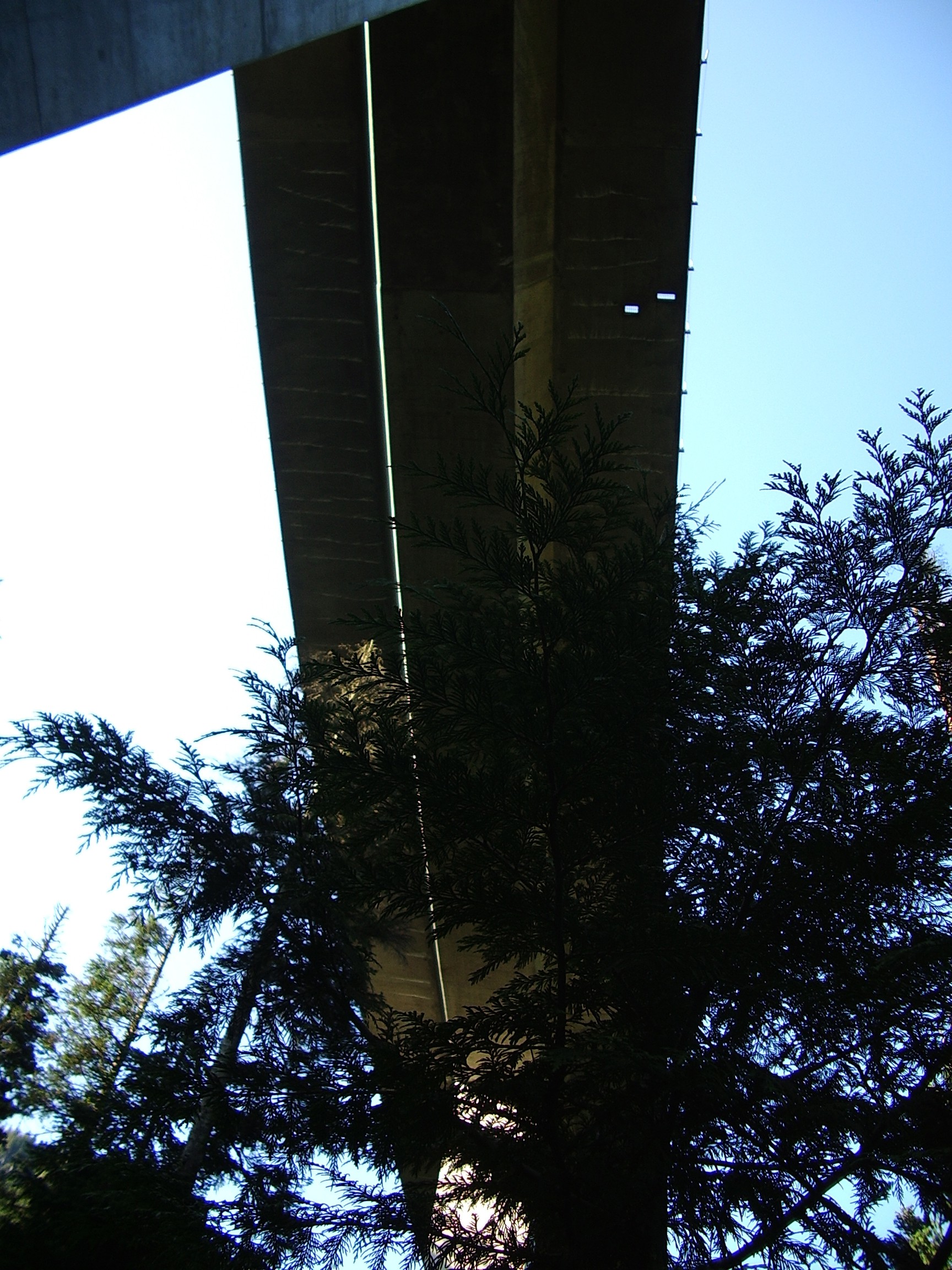 Denny Creek I90