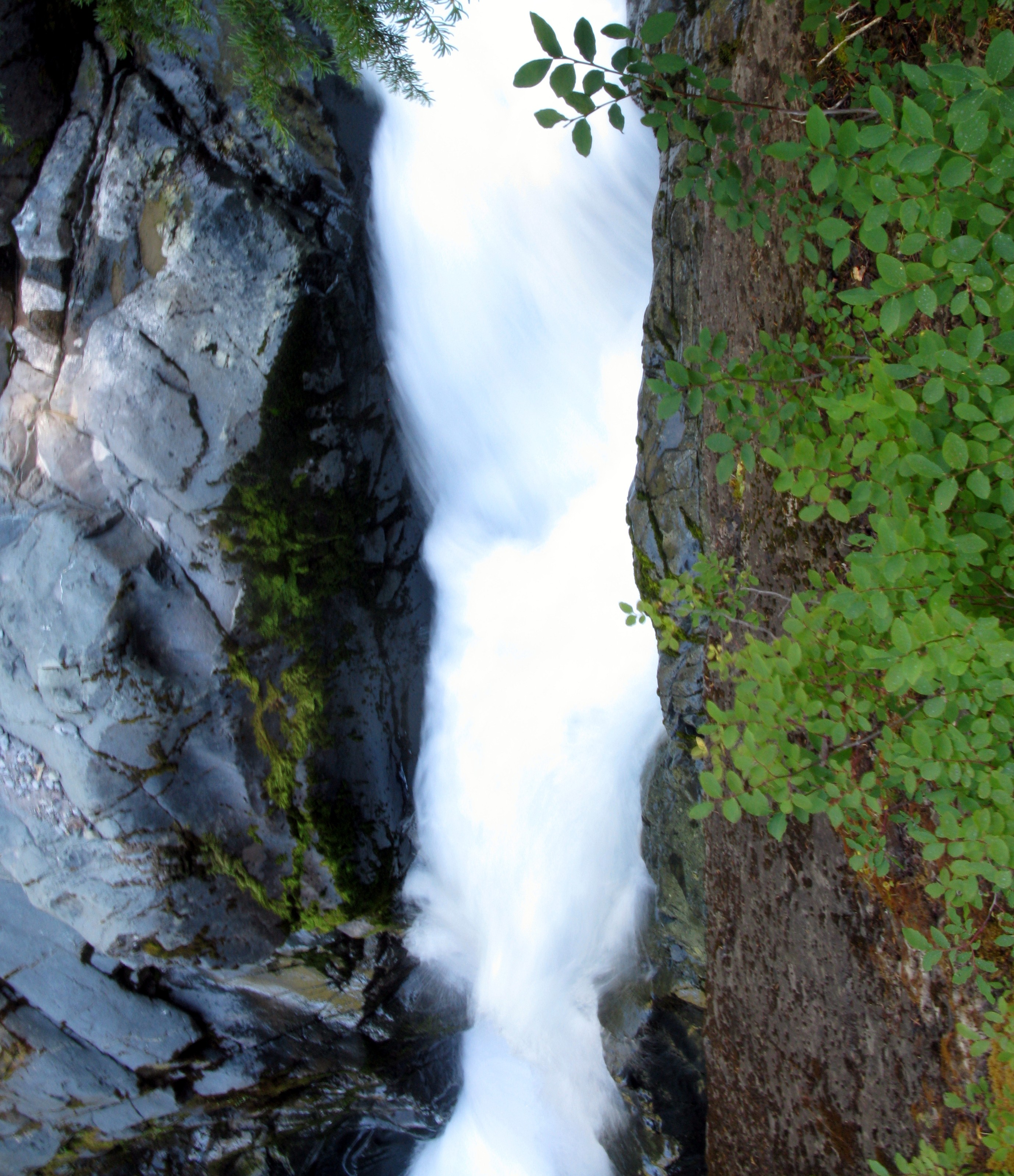 Frying Pan Creek thru the shute