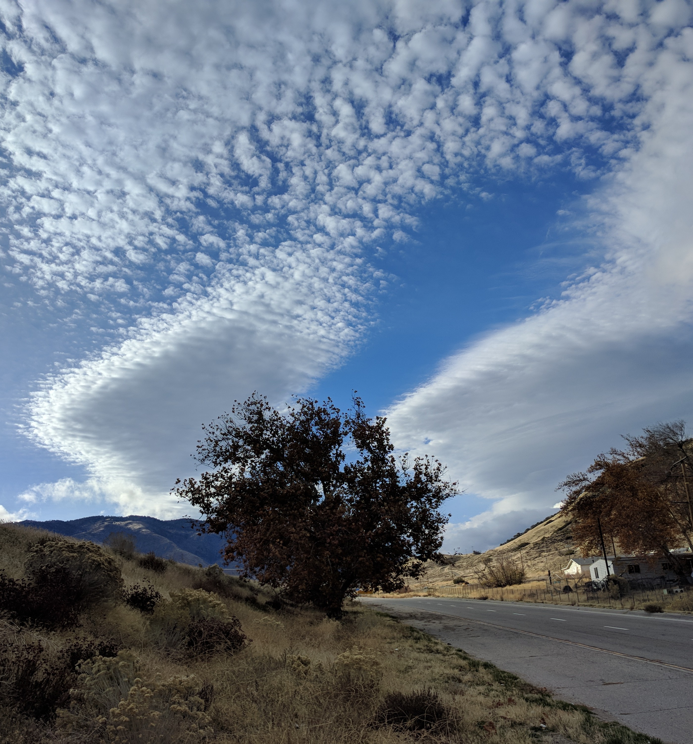 Gorman clouds