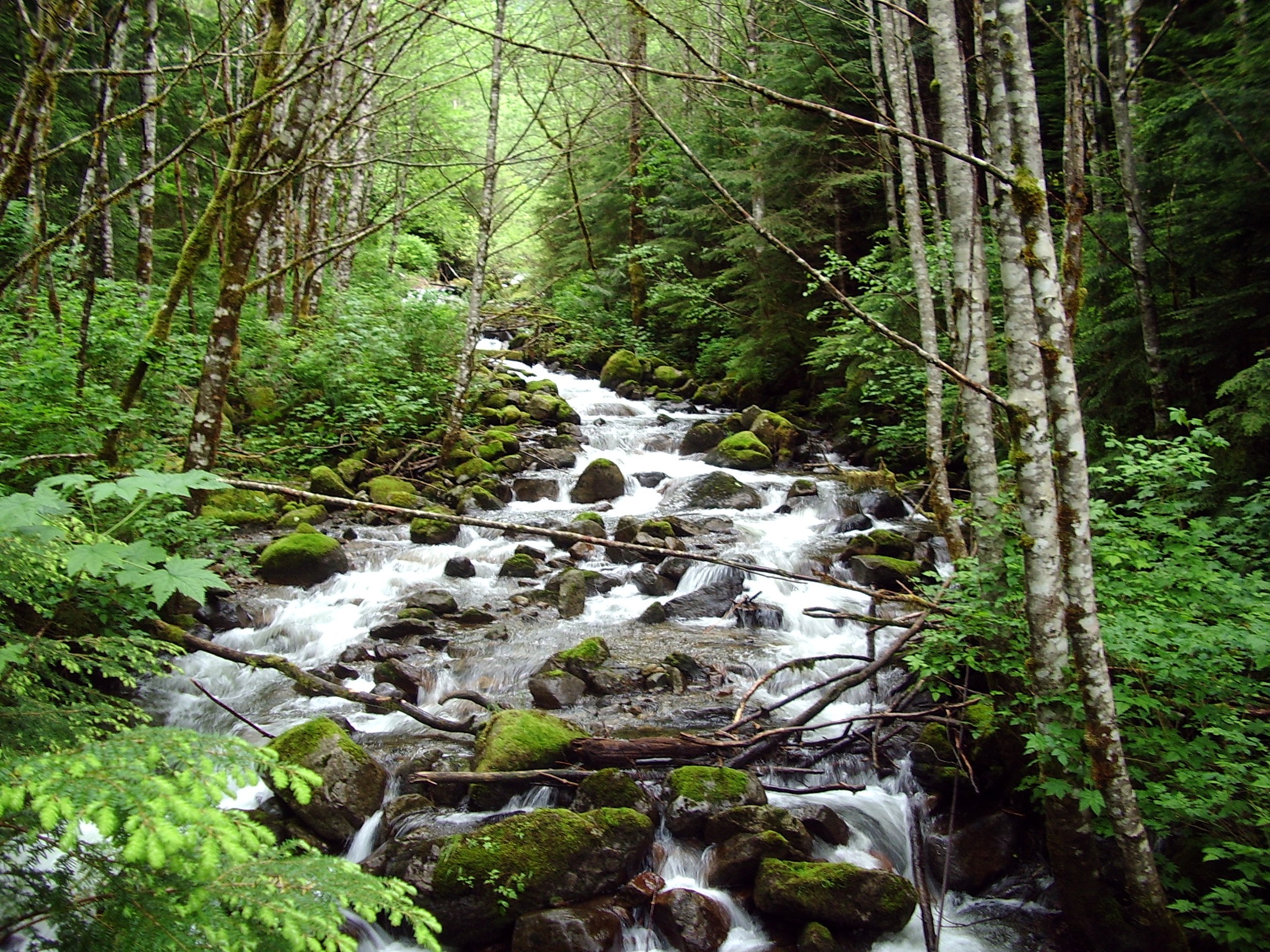 Granite Creek