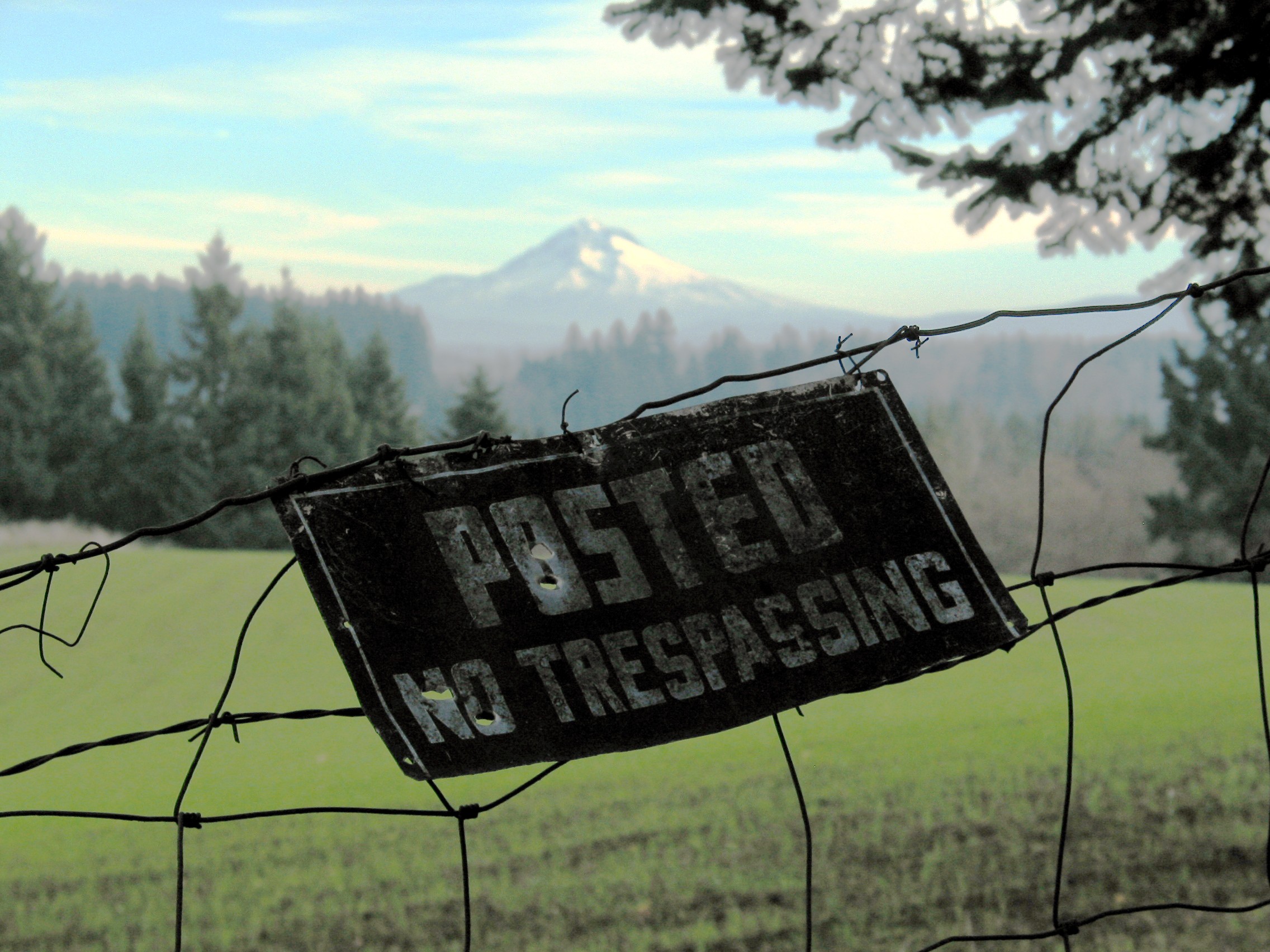 Hatton Road no trespassing with Mt Hood 117