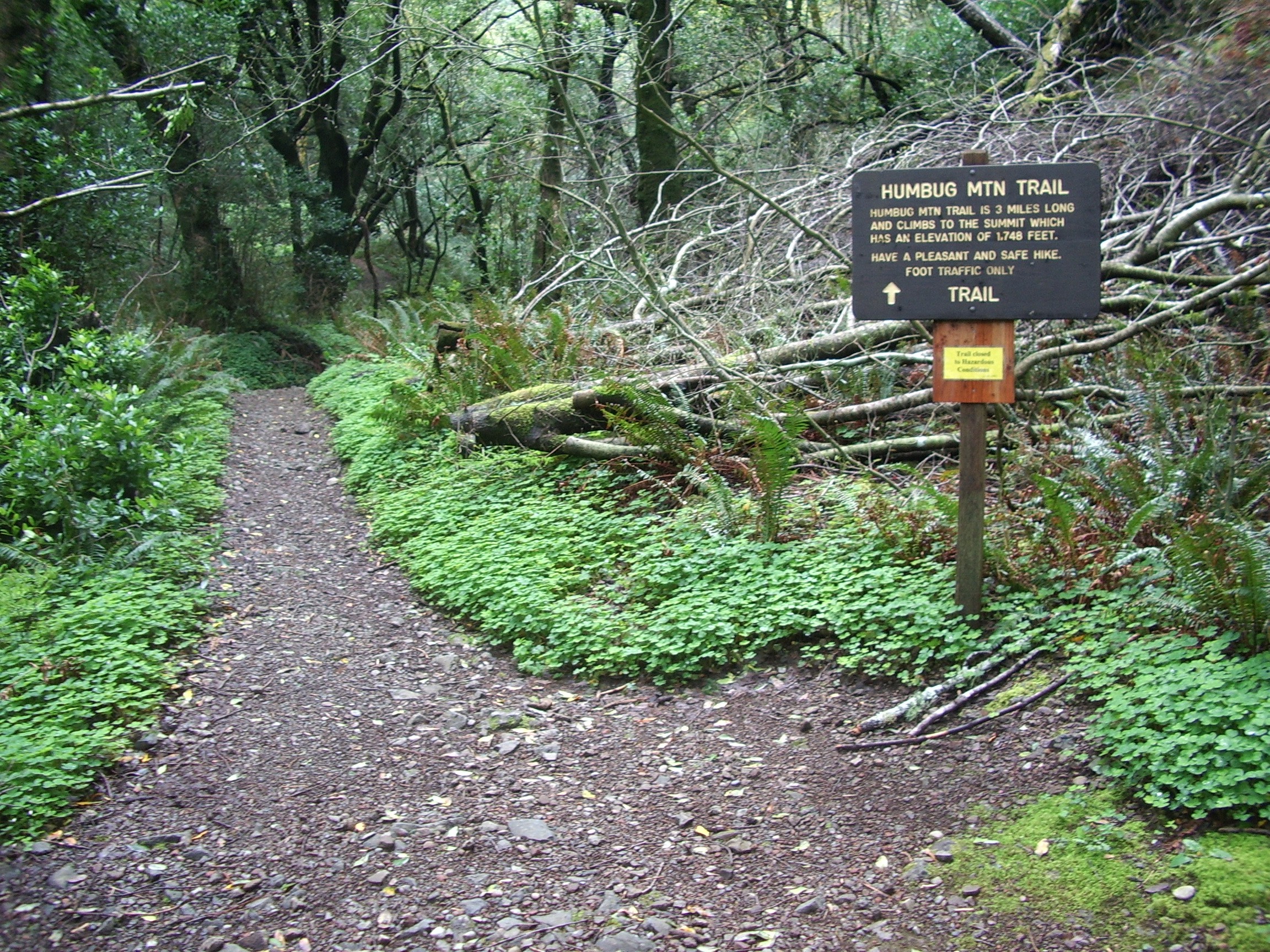 Humbug Mountain trail