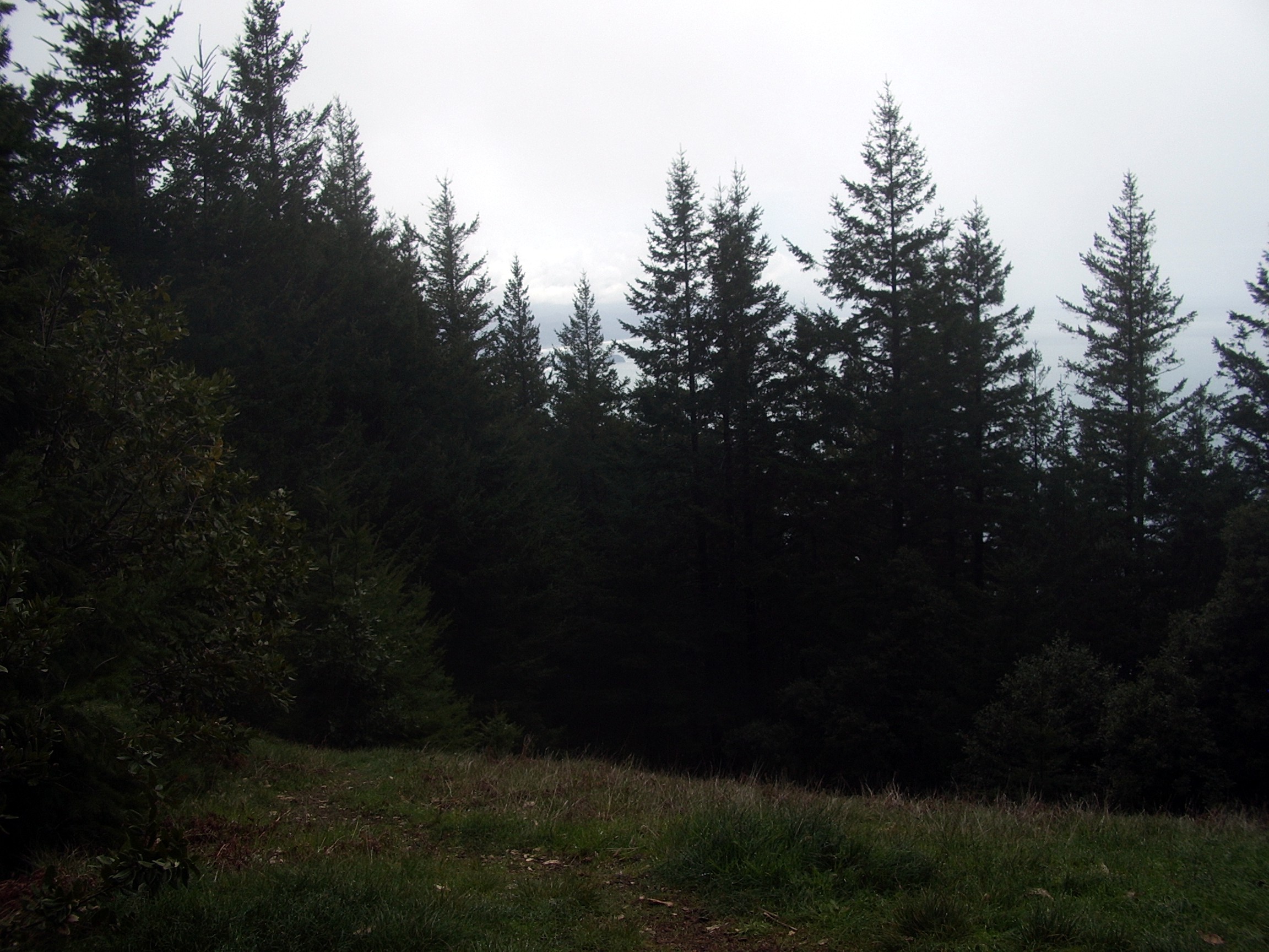 Humbug Mountain trail