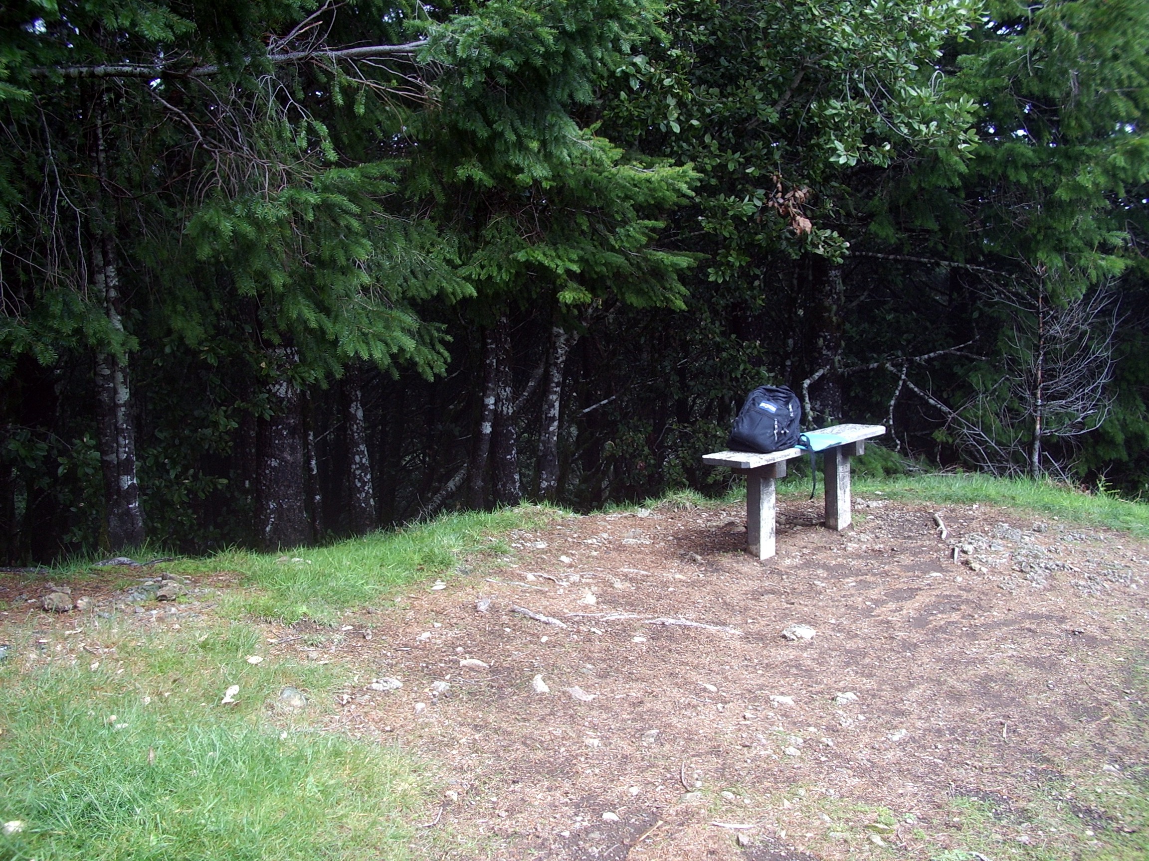 Humbug Mountain trail