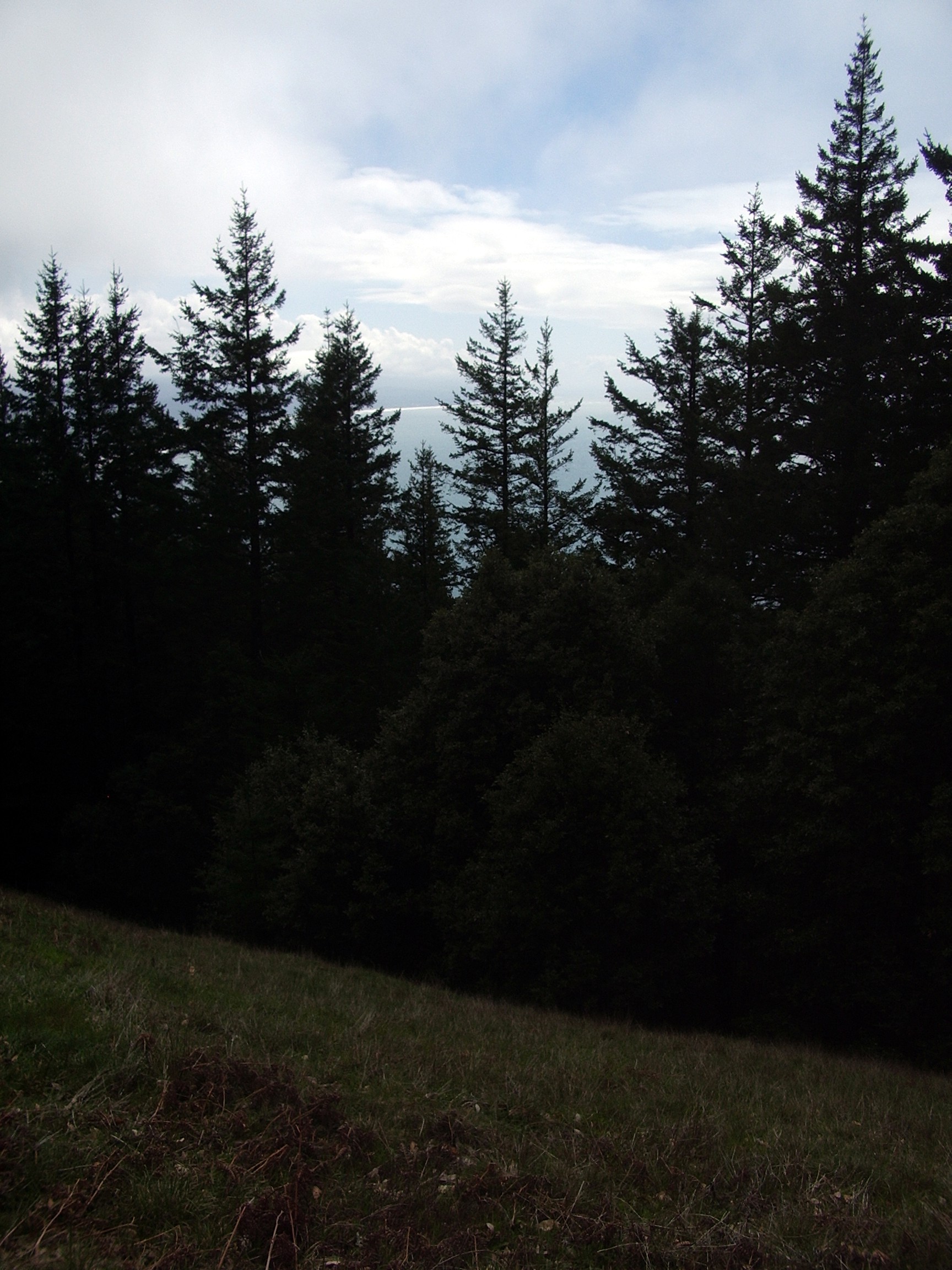 Humbug Mountain trail