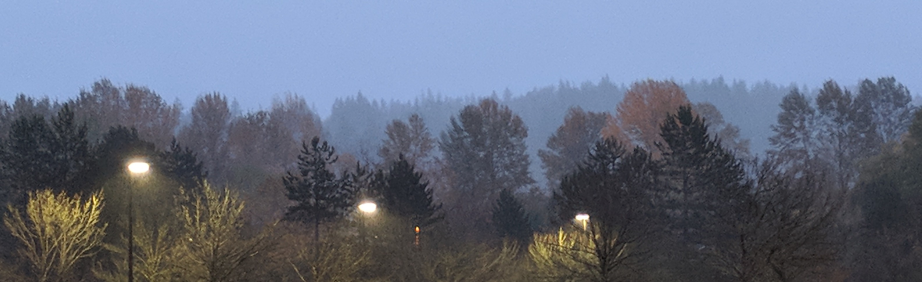 Issaquah Costco parking lot