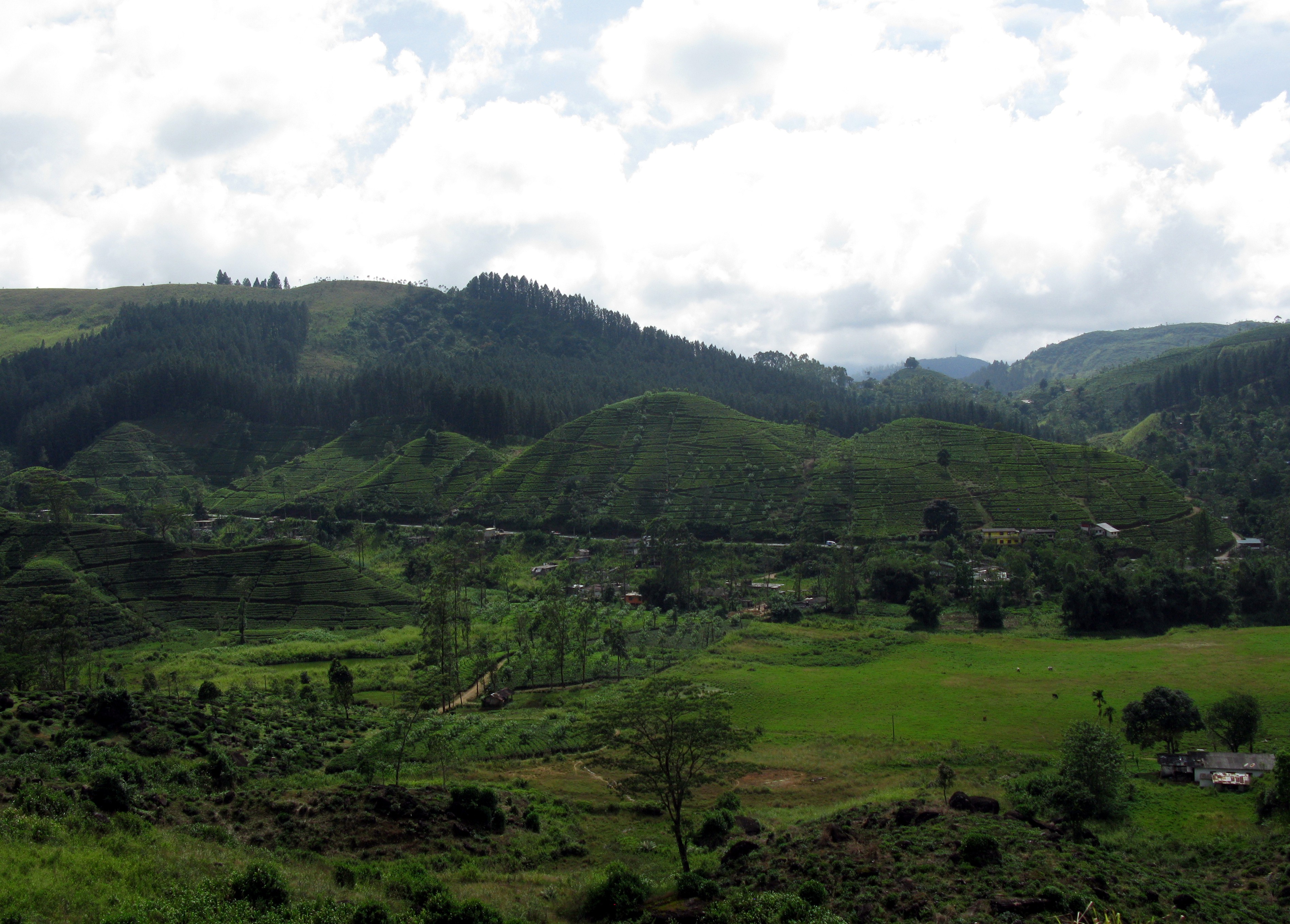 Kandy to Hatton train