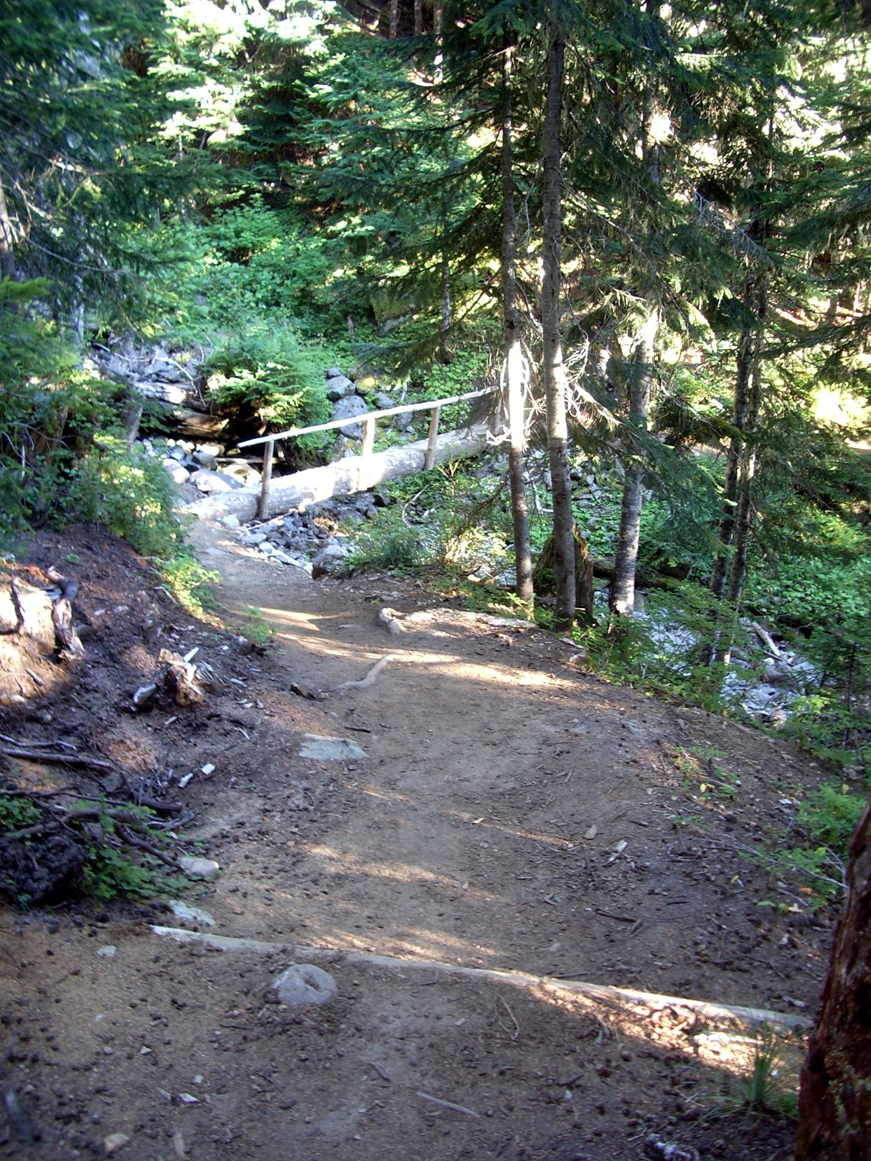 Mowich Lake to Spray Park Trail August