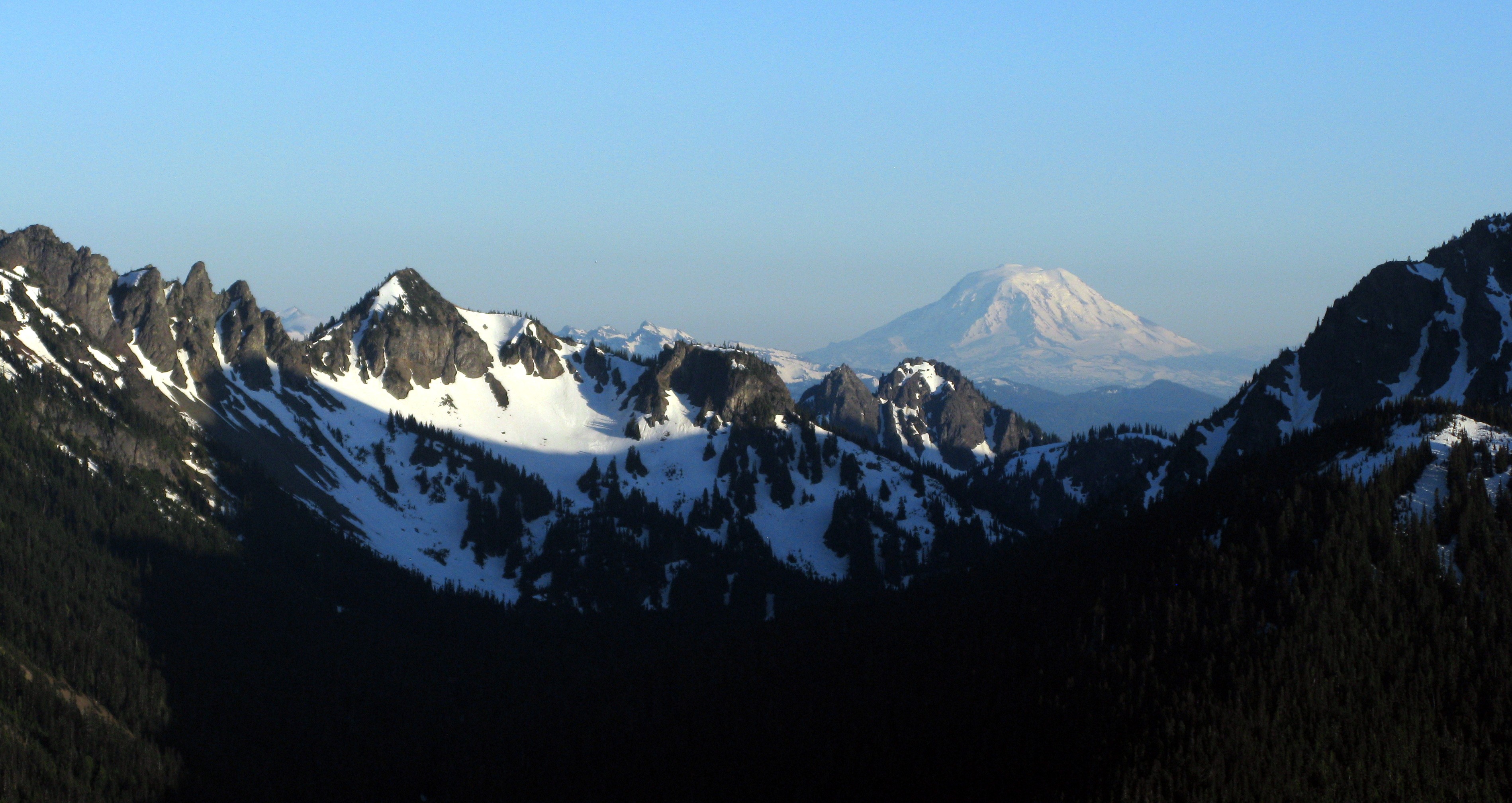 Mt Adams from Sunrise road