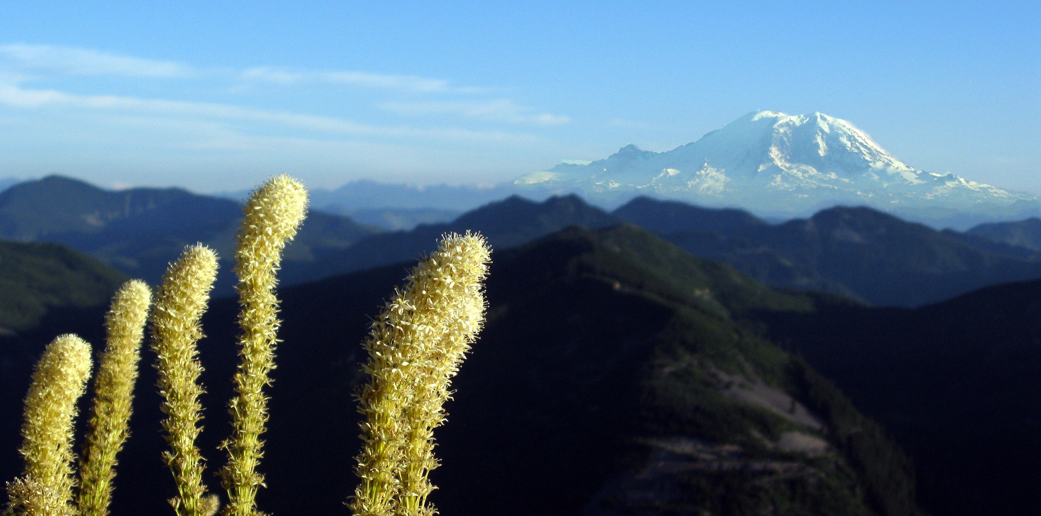 Mt Rainier from Bandera Mountain