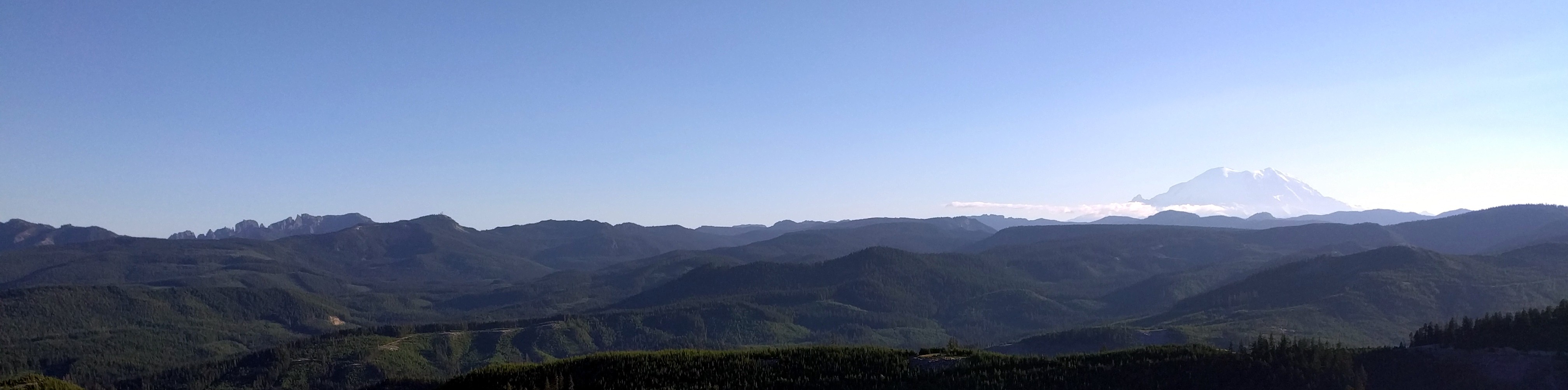Mt Rainier from far forest road