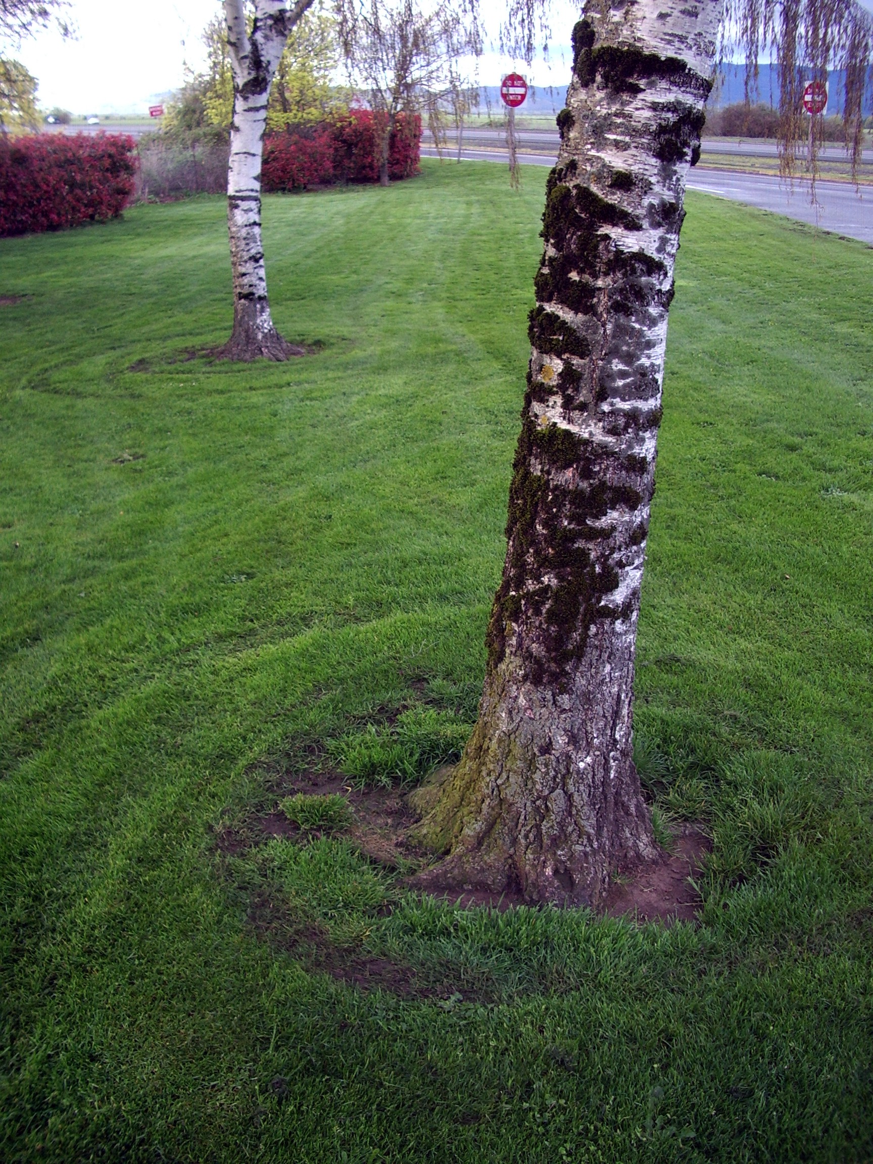 Oregon rest area