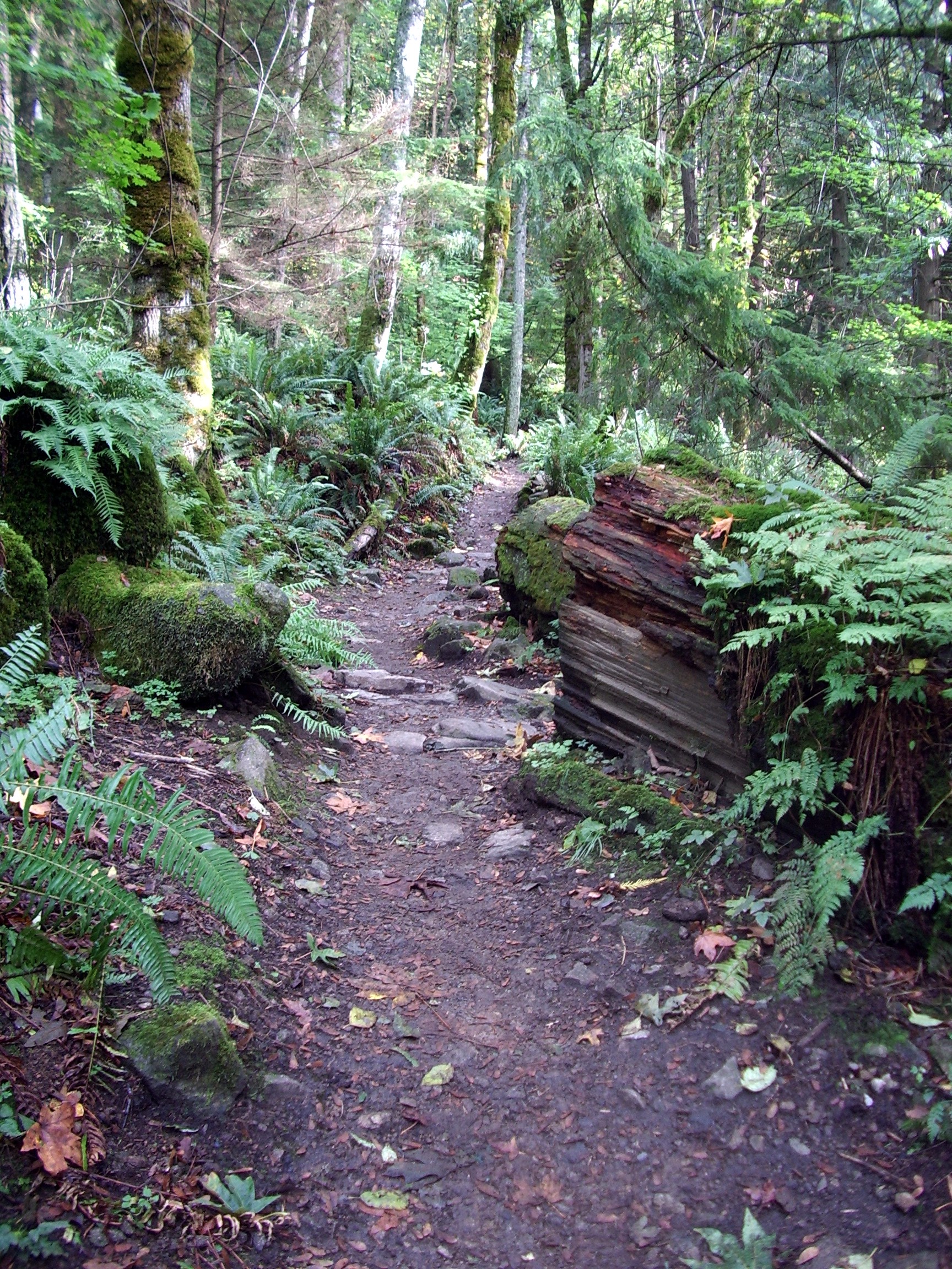 Poo Poo Point trail