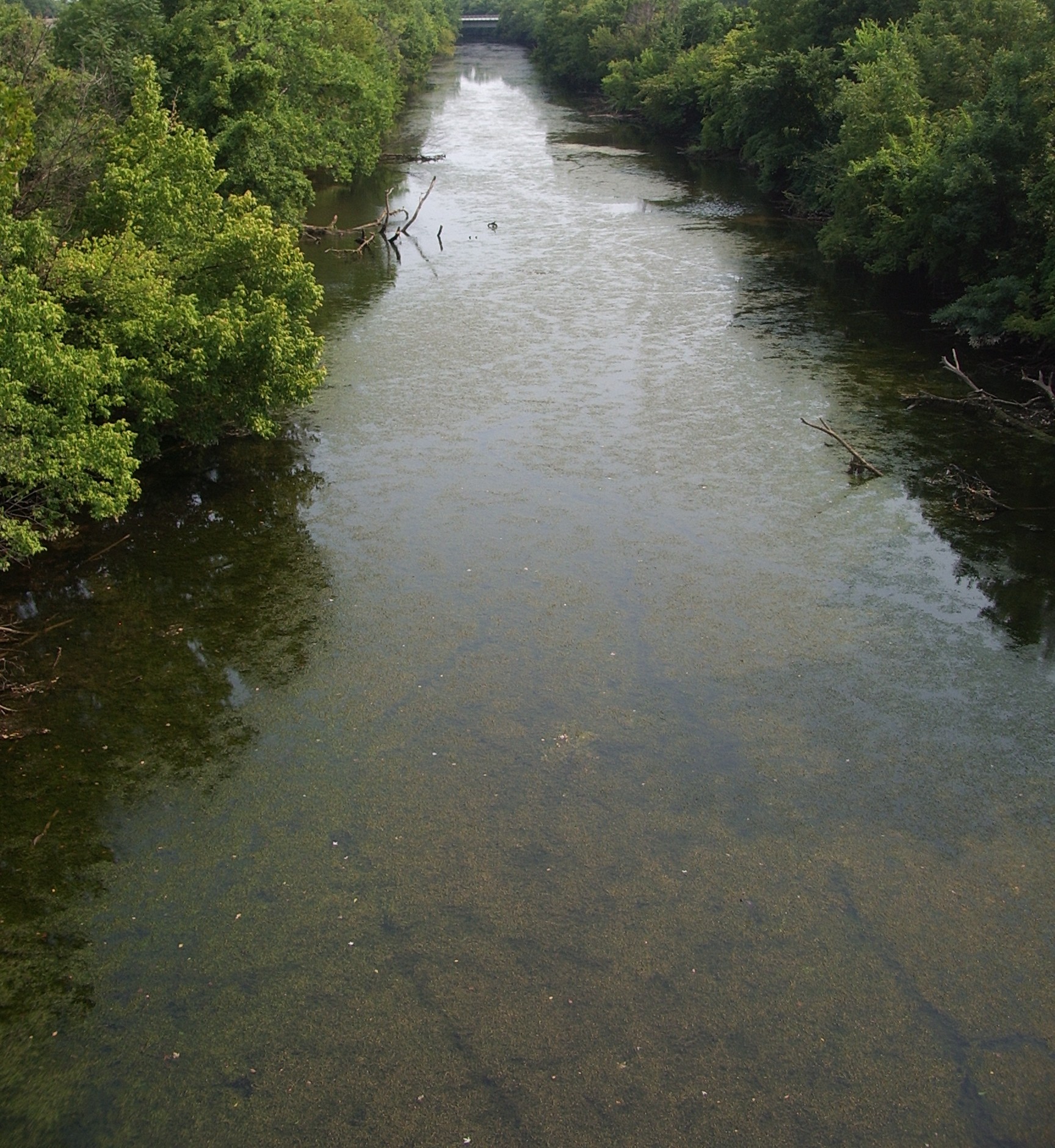 Potomac River slough