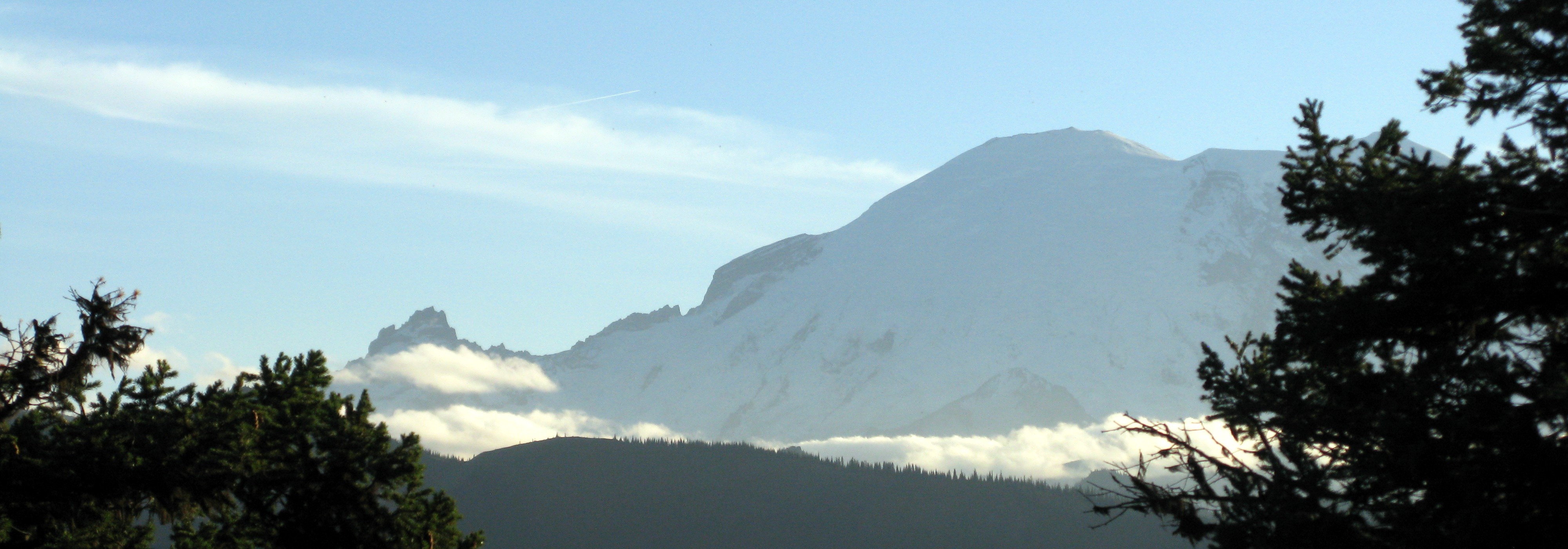 Rainier from Palisades Trail