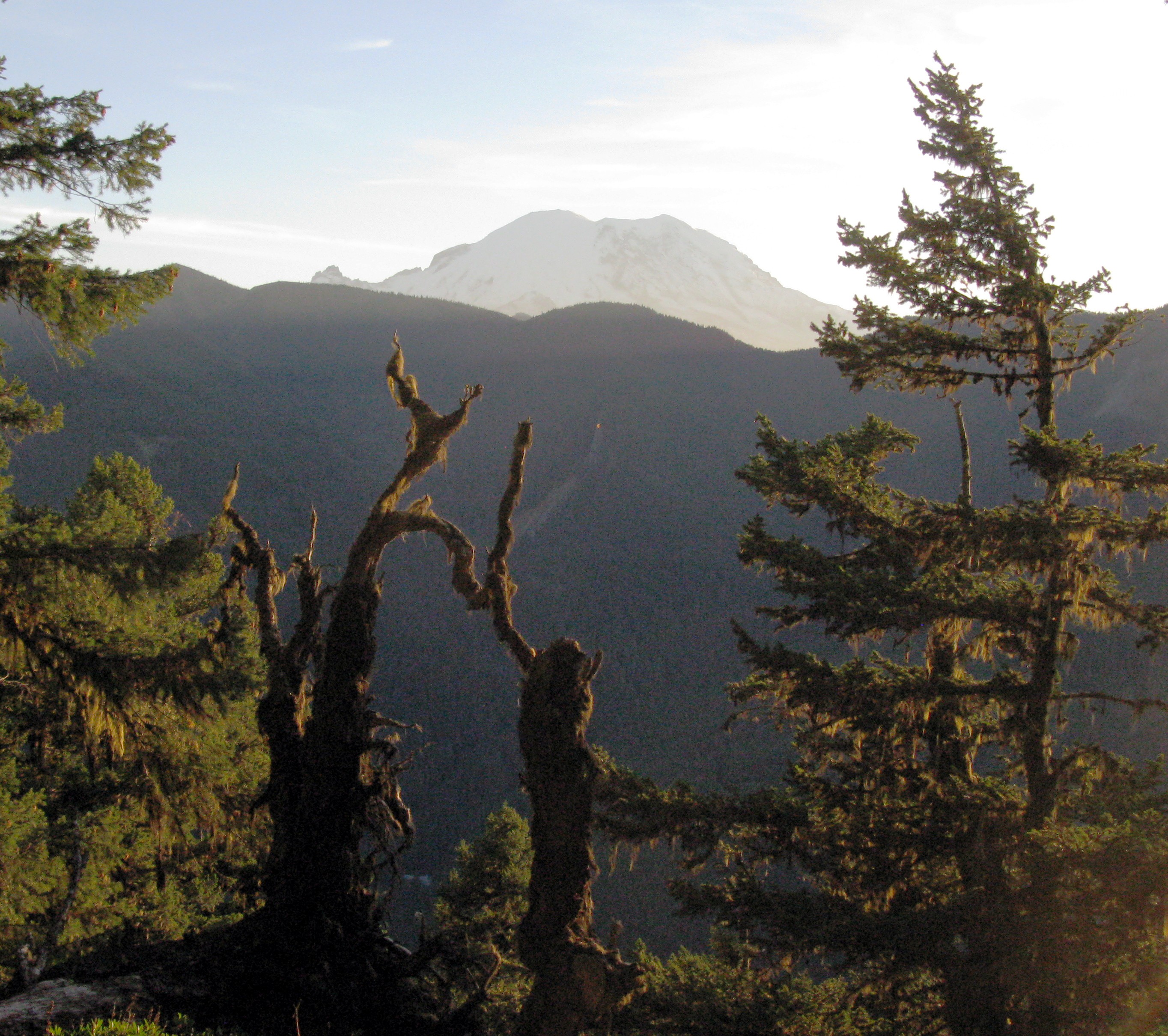 Rainier from Palisades Trail