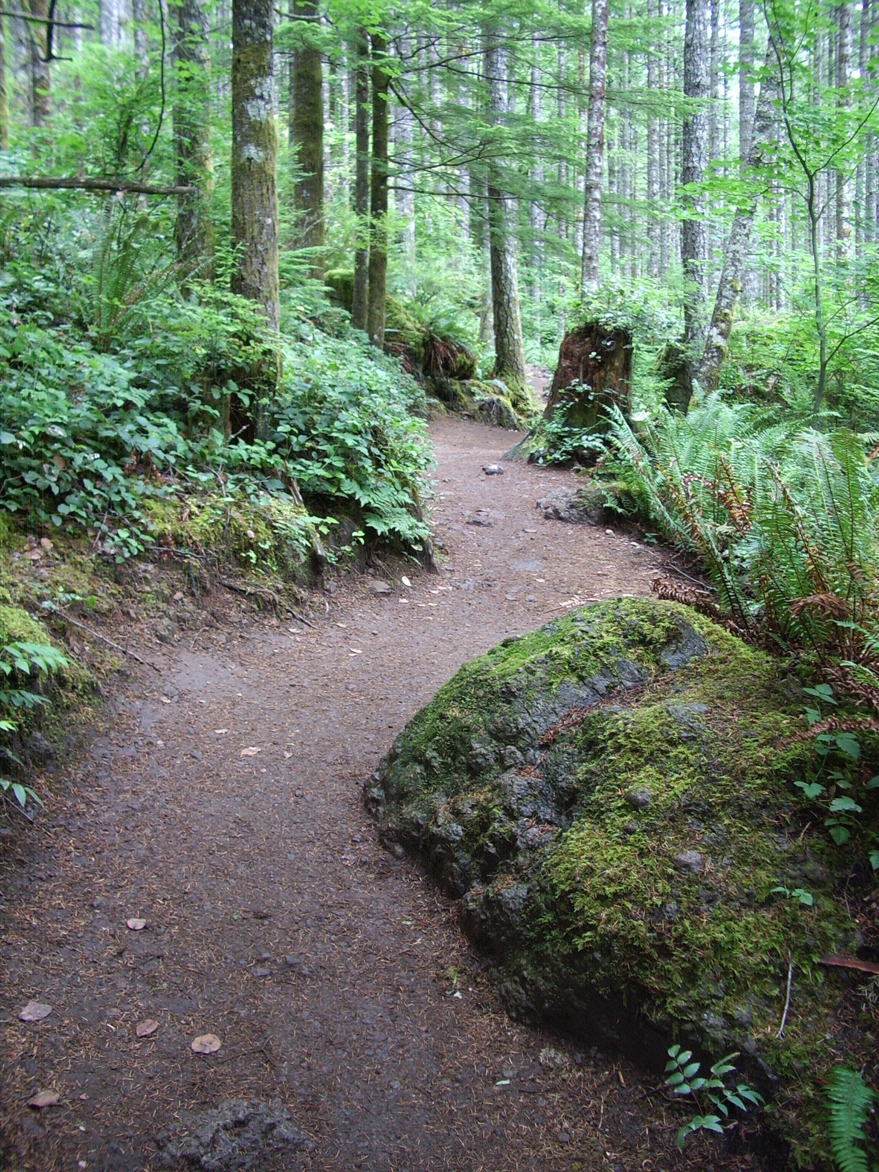 Rattlesnake Ledge Trail