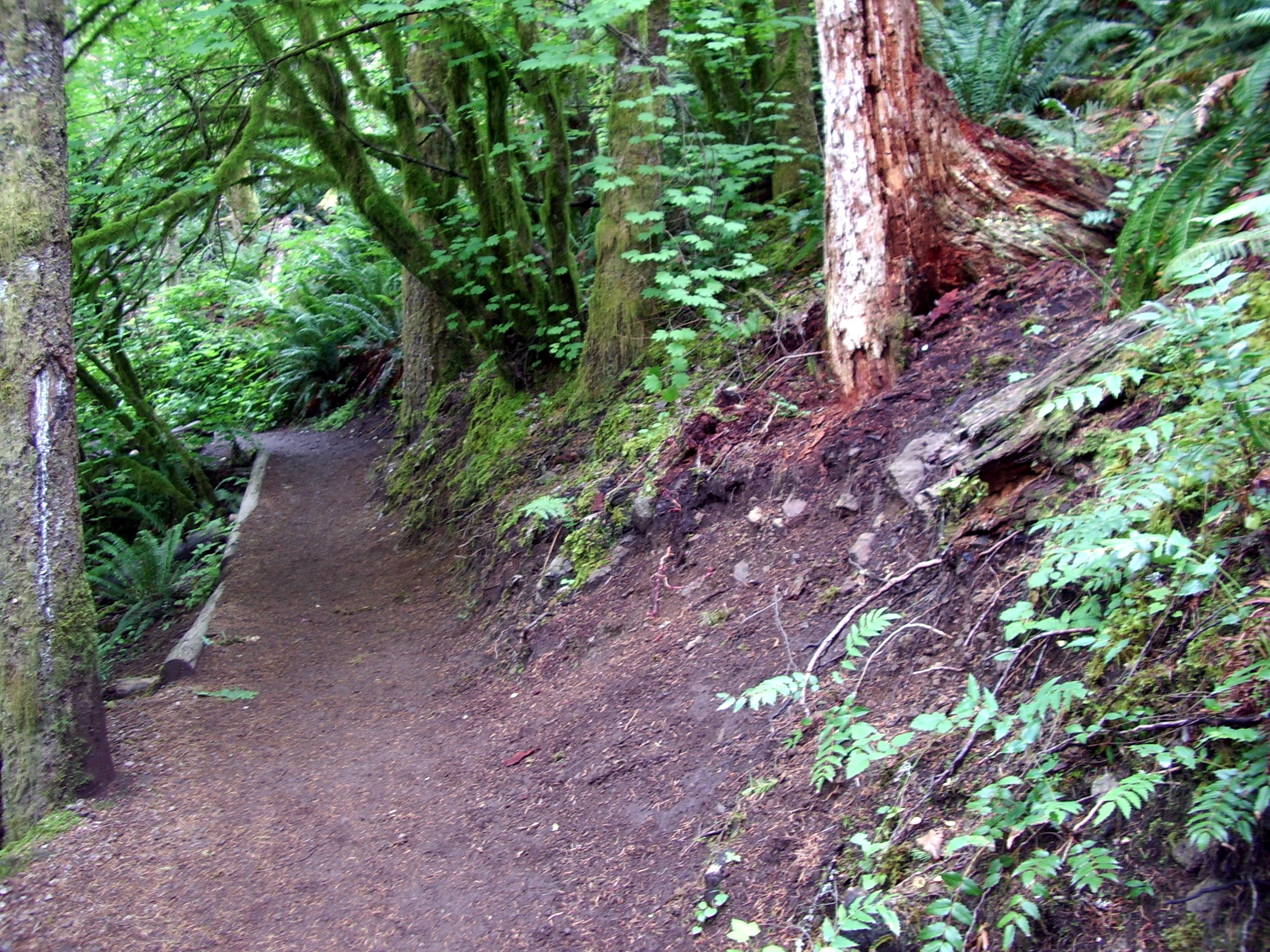 Rattlesnake Ledge Trail north approach