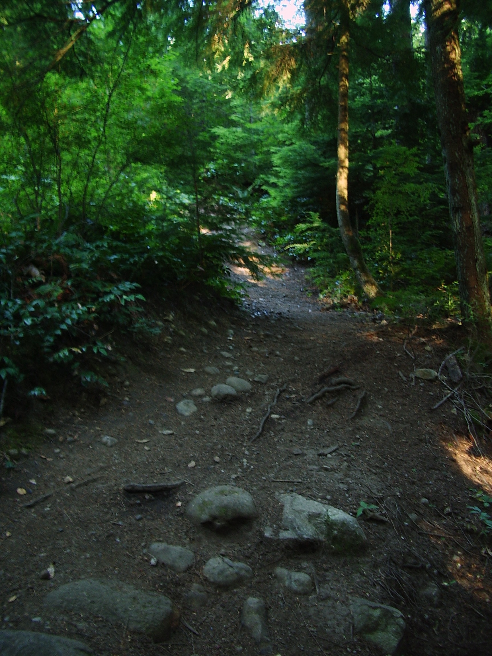 Rattlesnake Mountain trail August