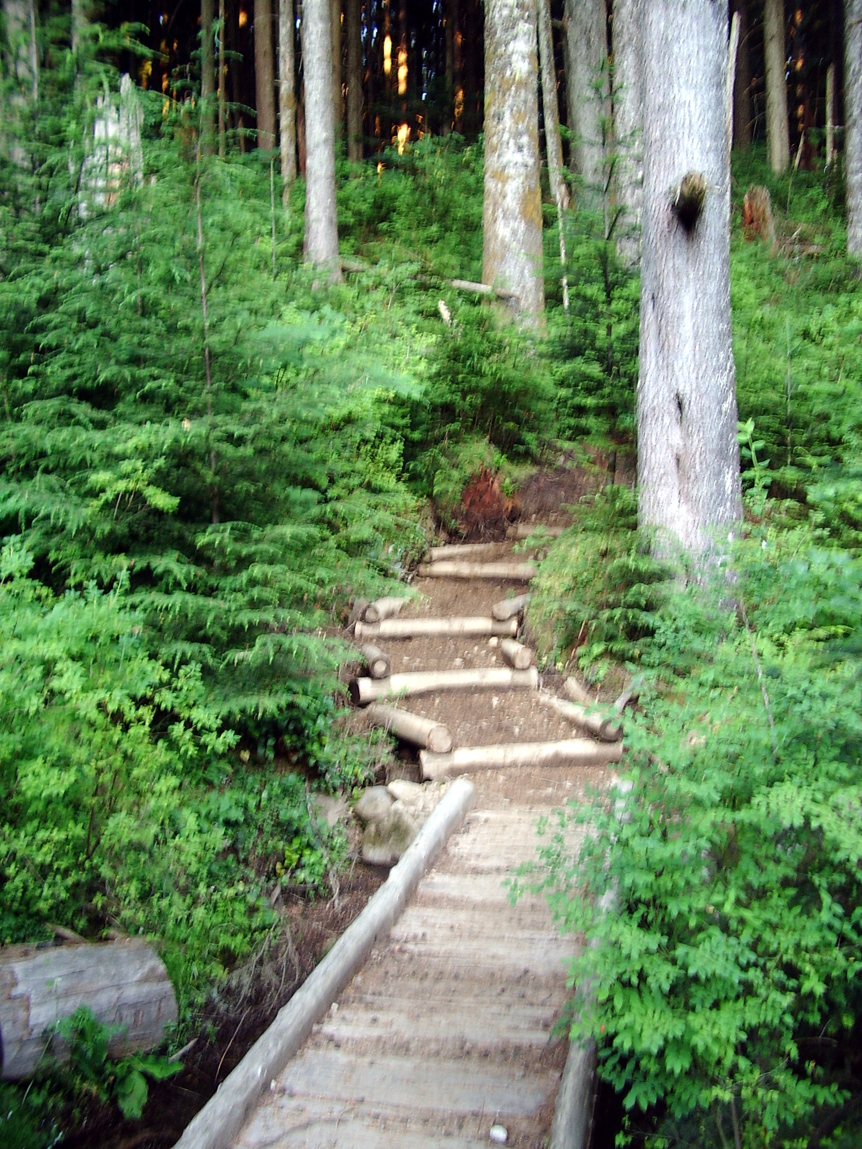 Rattlesnake Mountain trail August