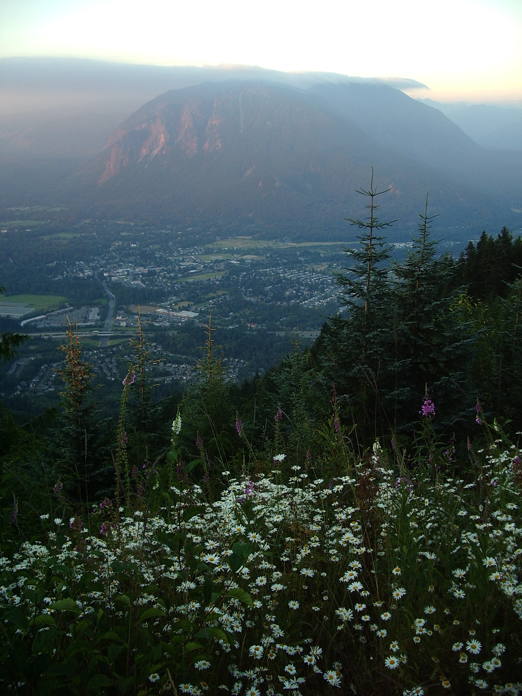 Rattlesnake Mountain trail August