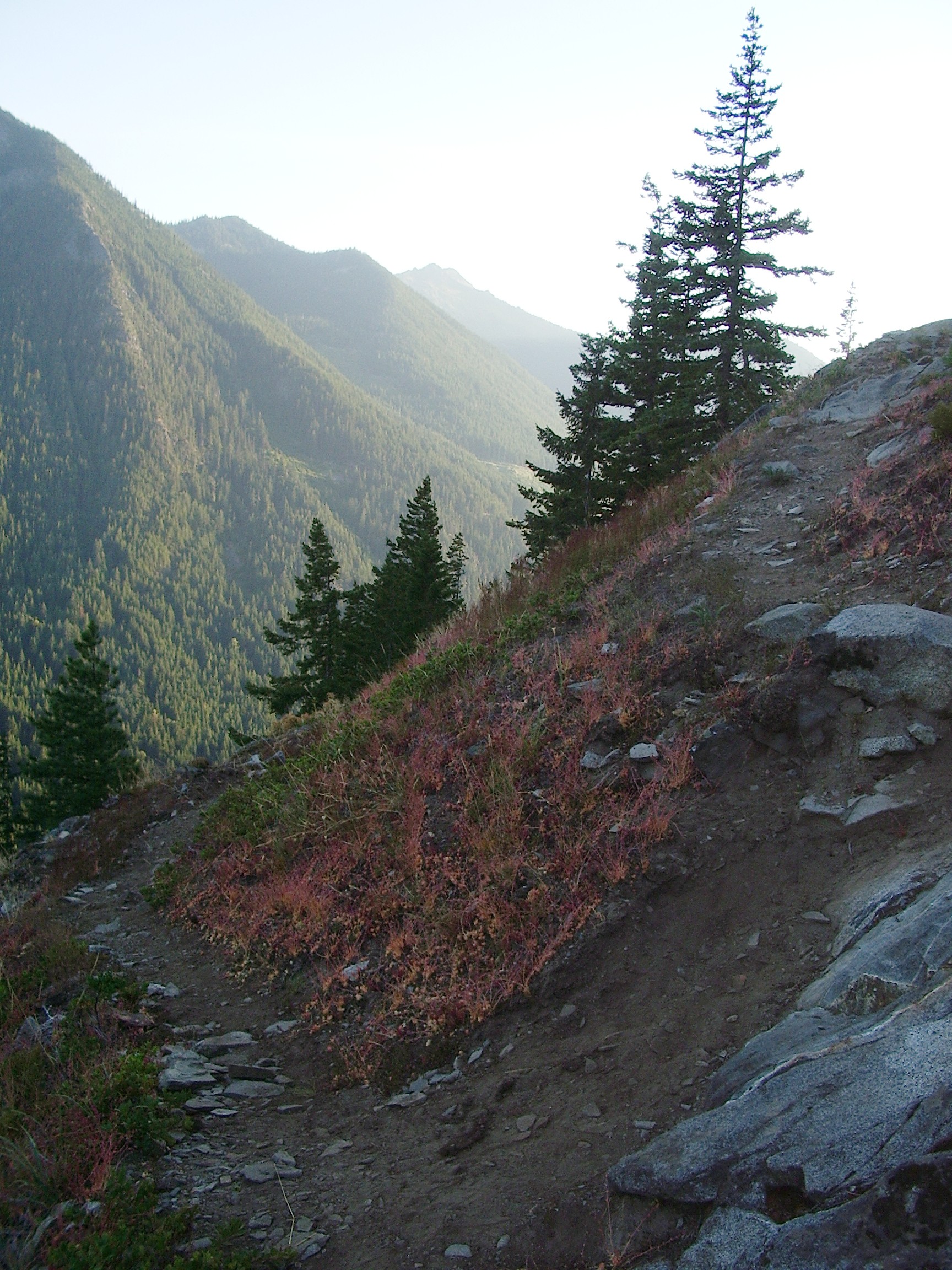 Rock Lake trail August
