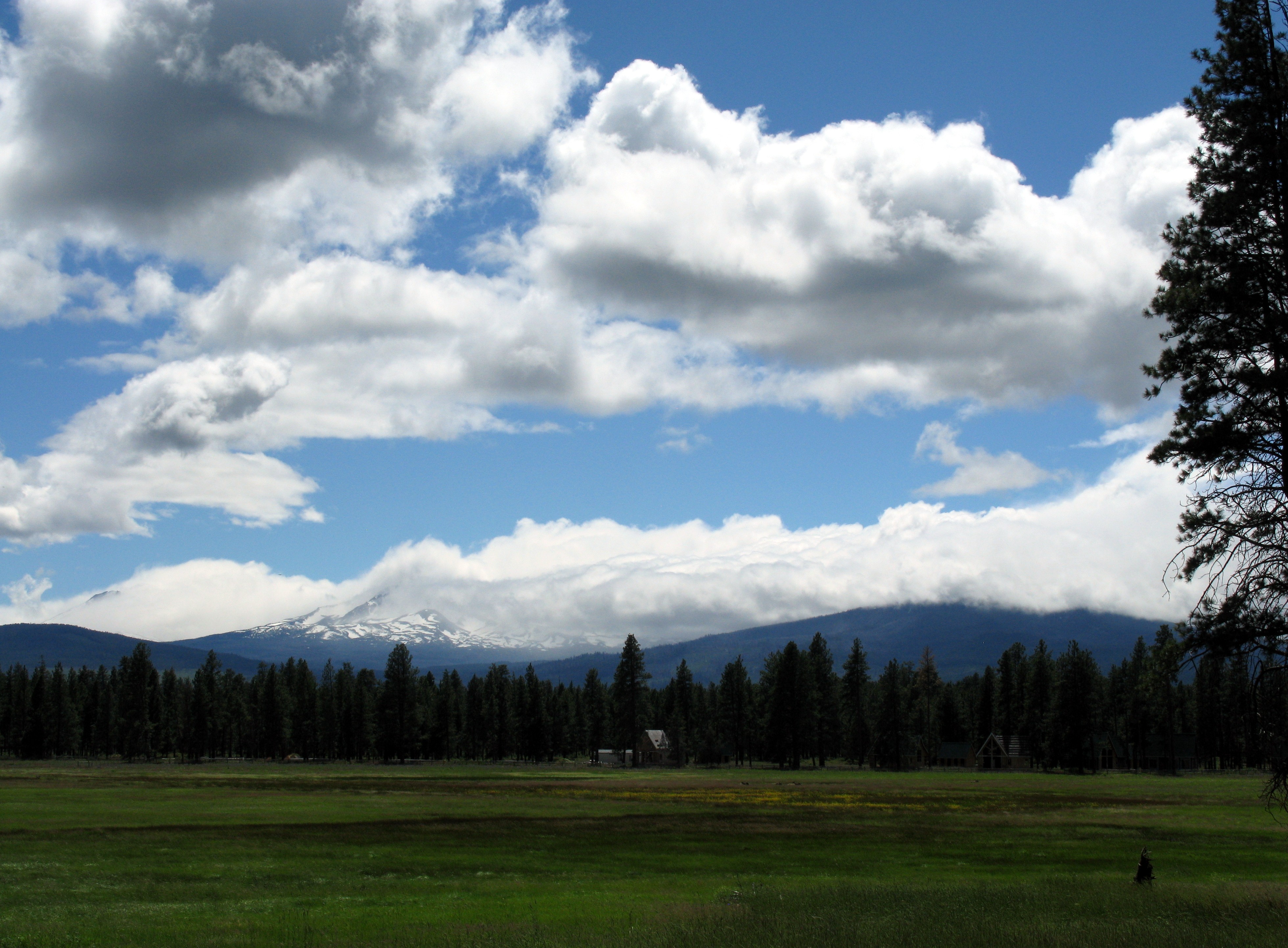 Sister under a cloud